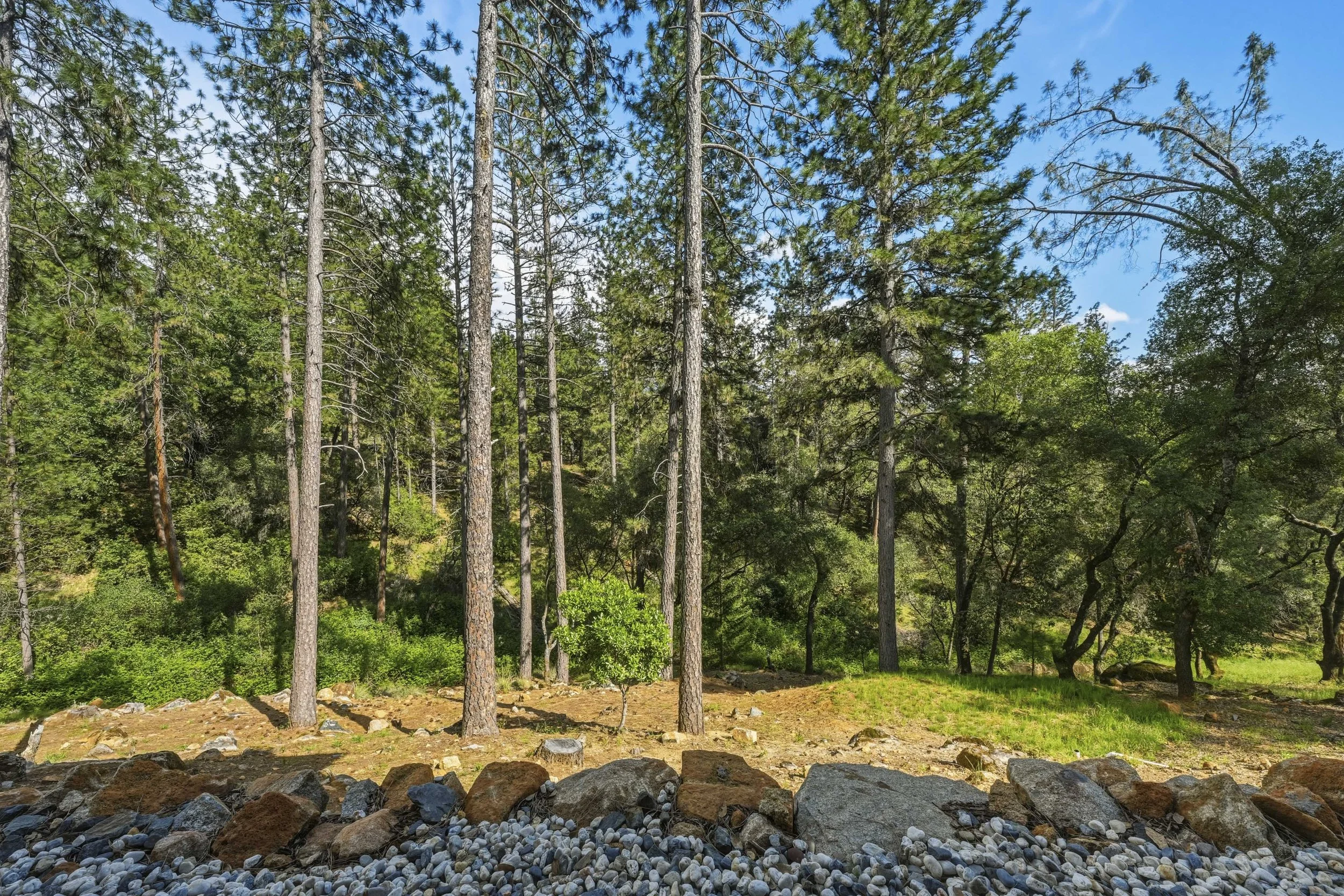 1455 Lodge View Dr 71.jpg