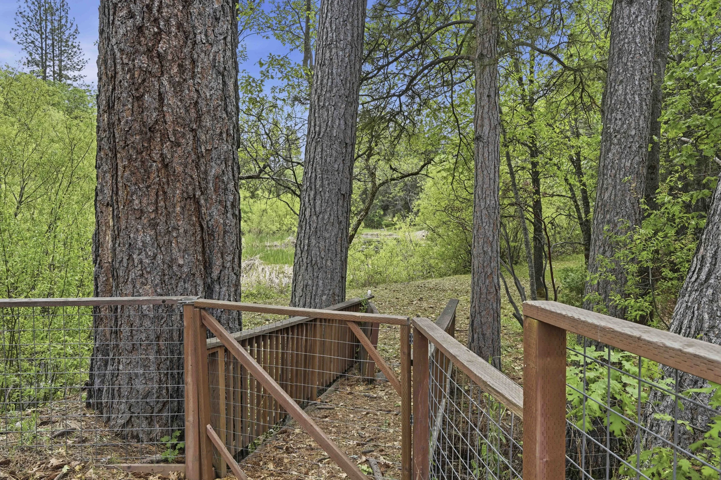 6169 Sweeney Rd 69.jpg