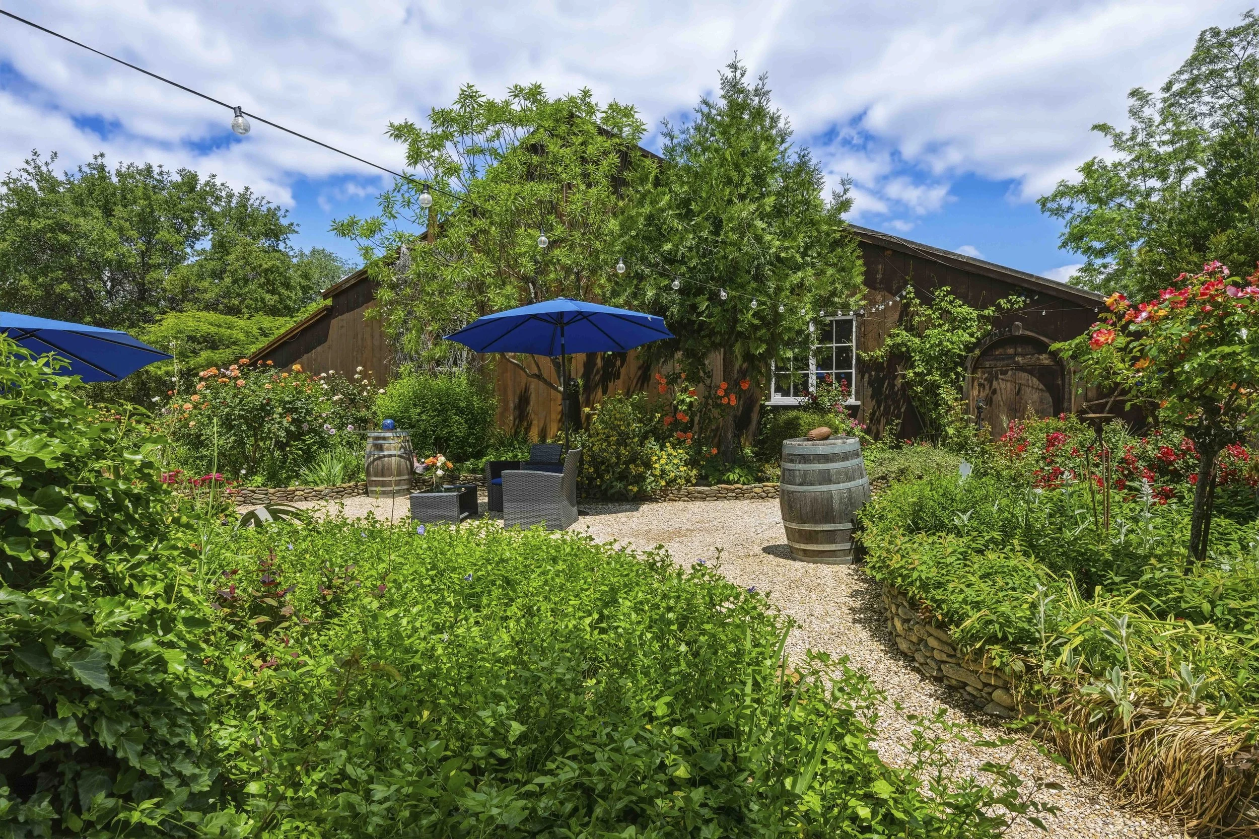 Young's Vineyard - 110.jpg