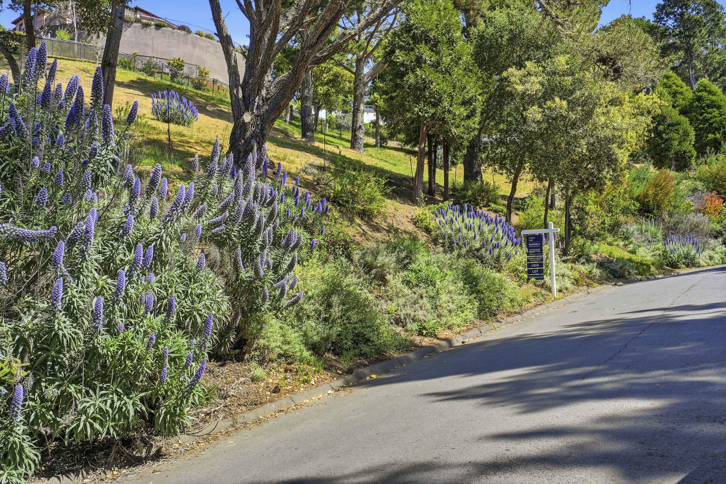 107 Mount Tiburon 21.jpg