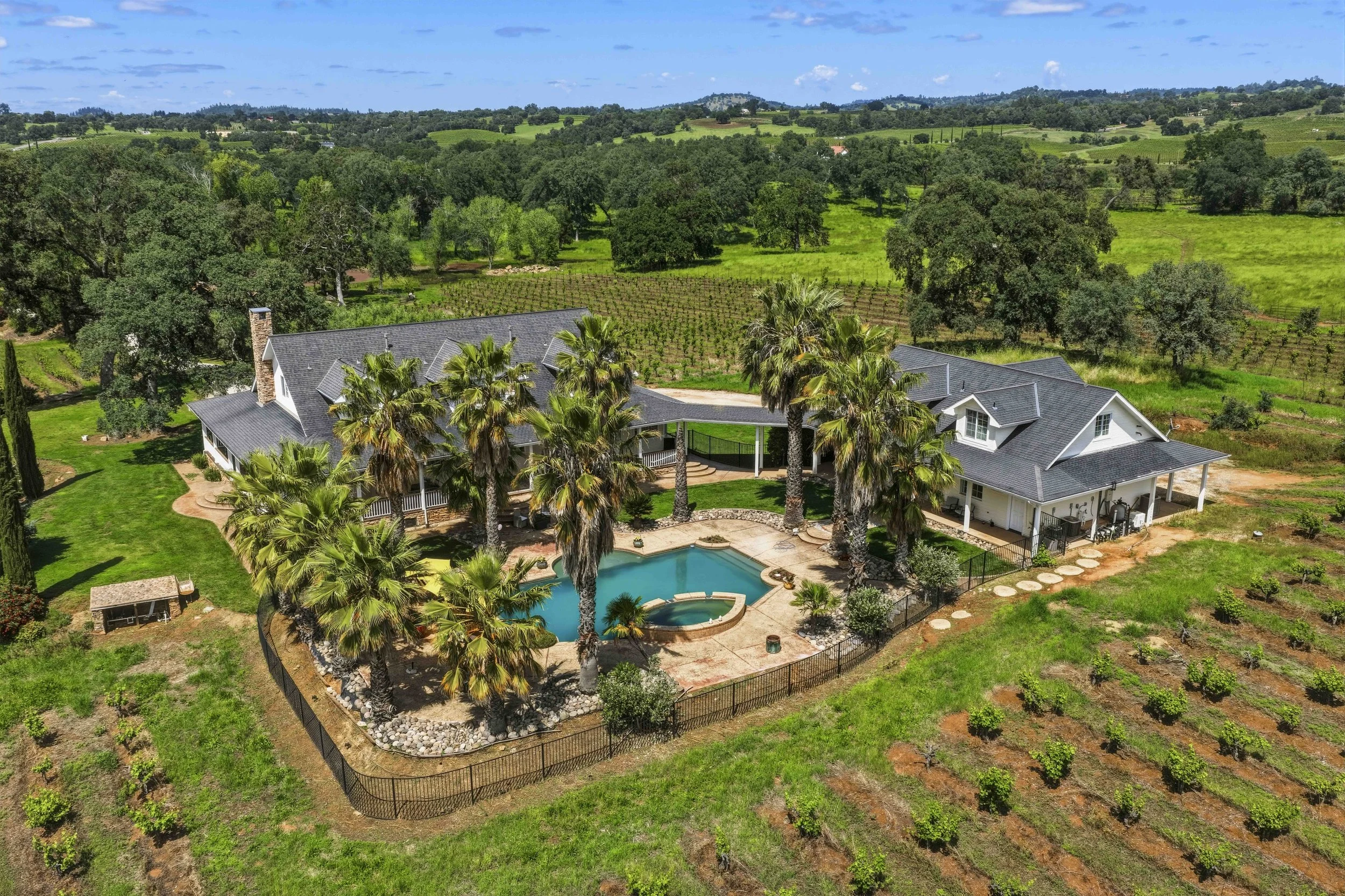 Young's Vineyard - 13.jpg