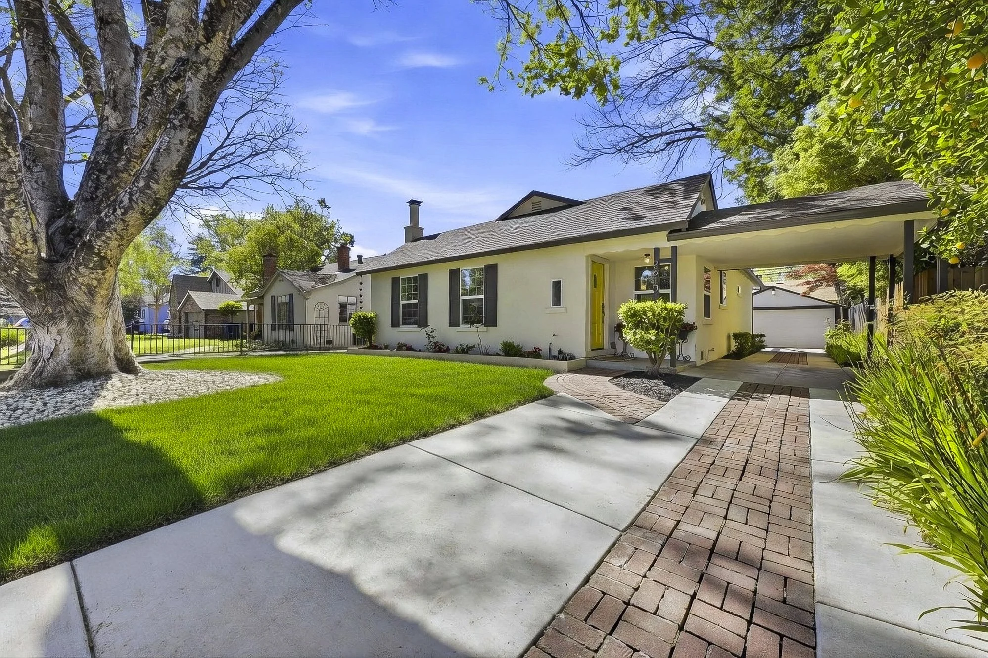 2610 14th - Grass Edit 4_1.jpg