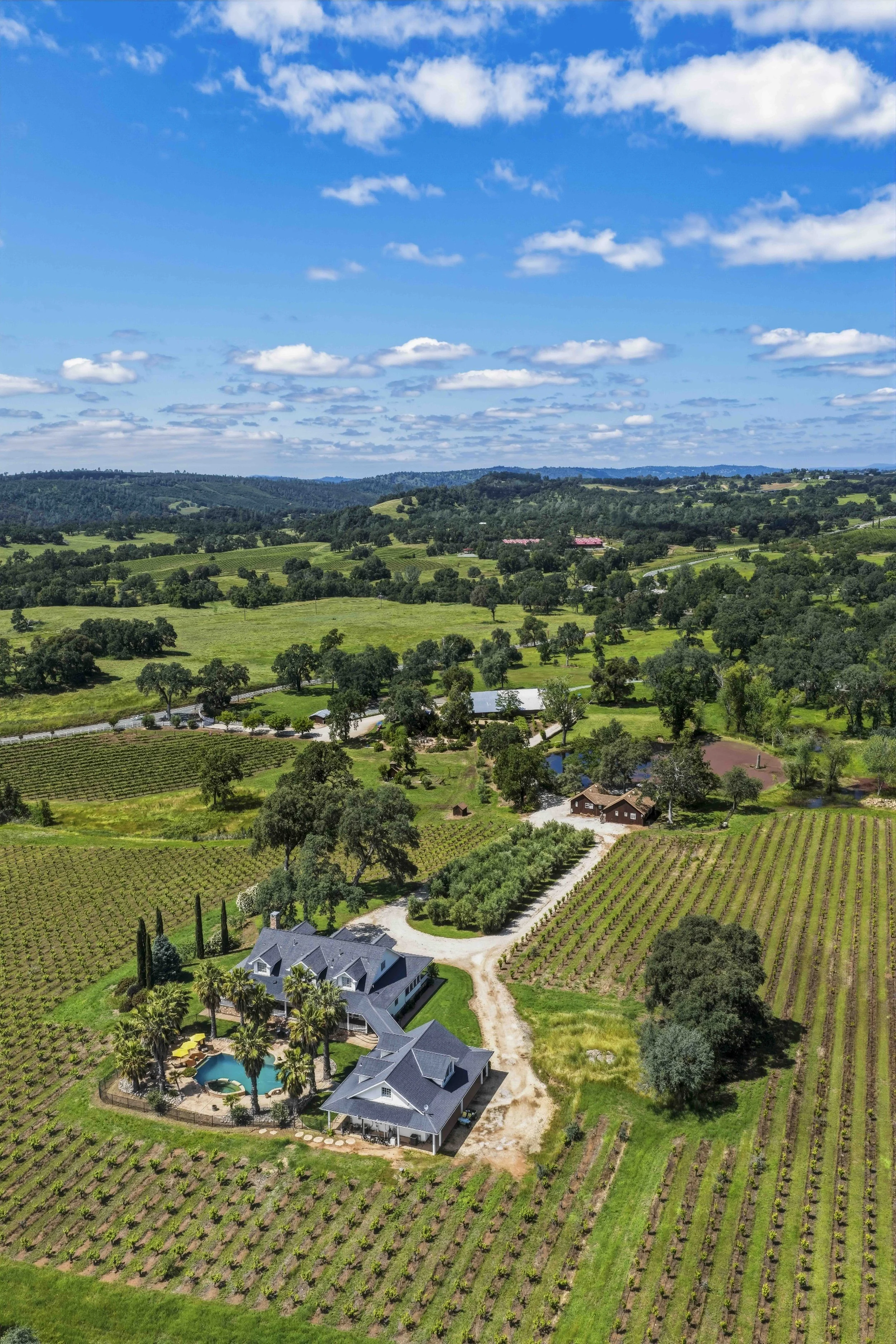 Young's Vineyard - 11.jpg