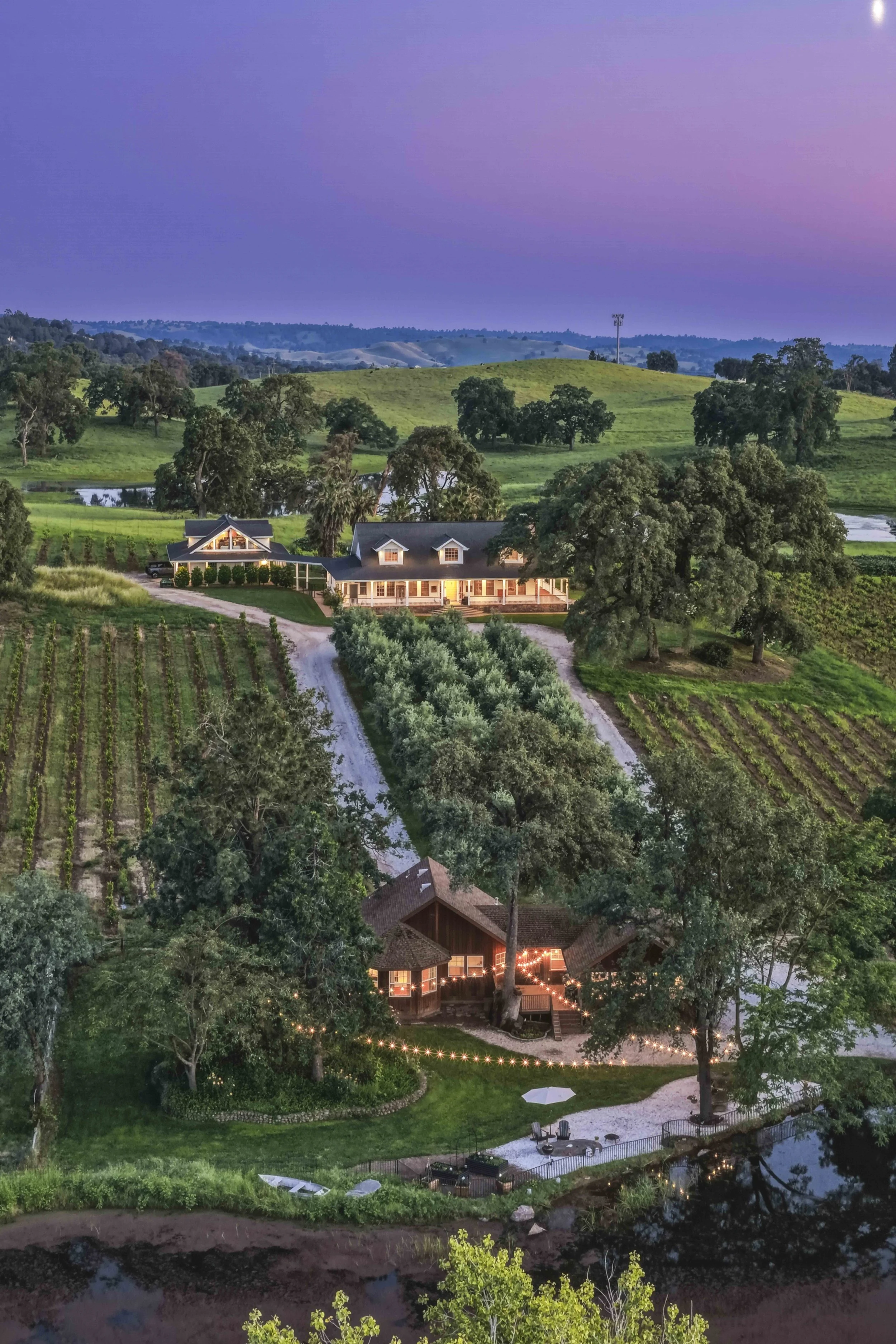 Young's Vineyard Twilights - _50.jpg