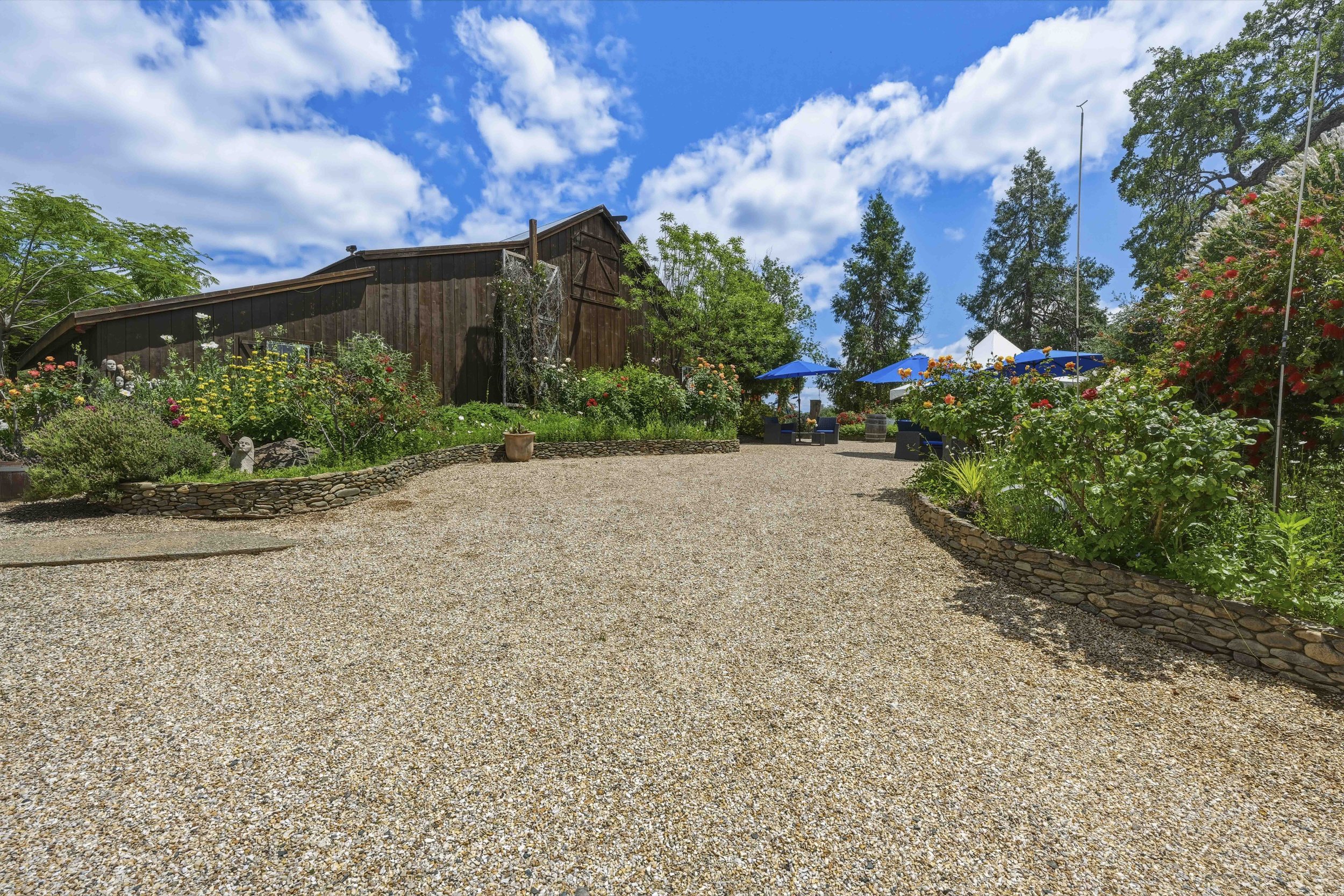 Youngs Vineyard 167.jpg