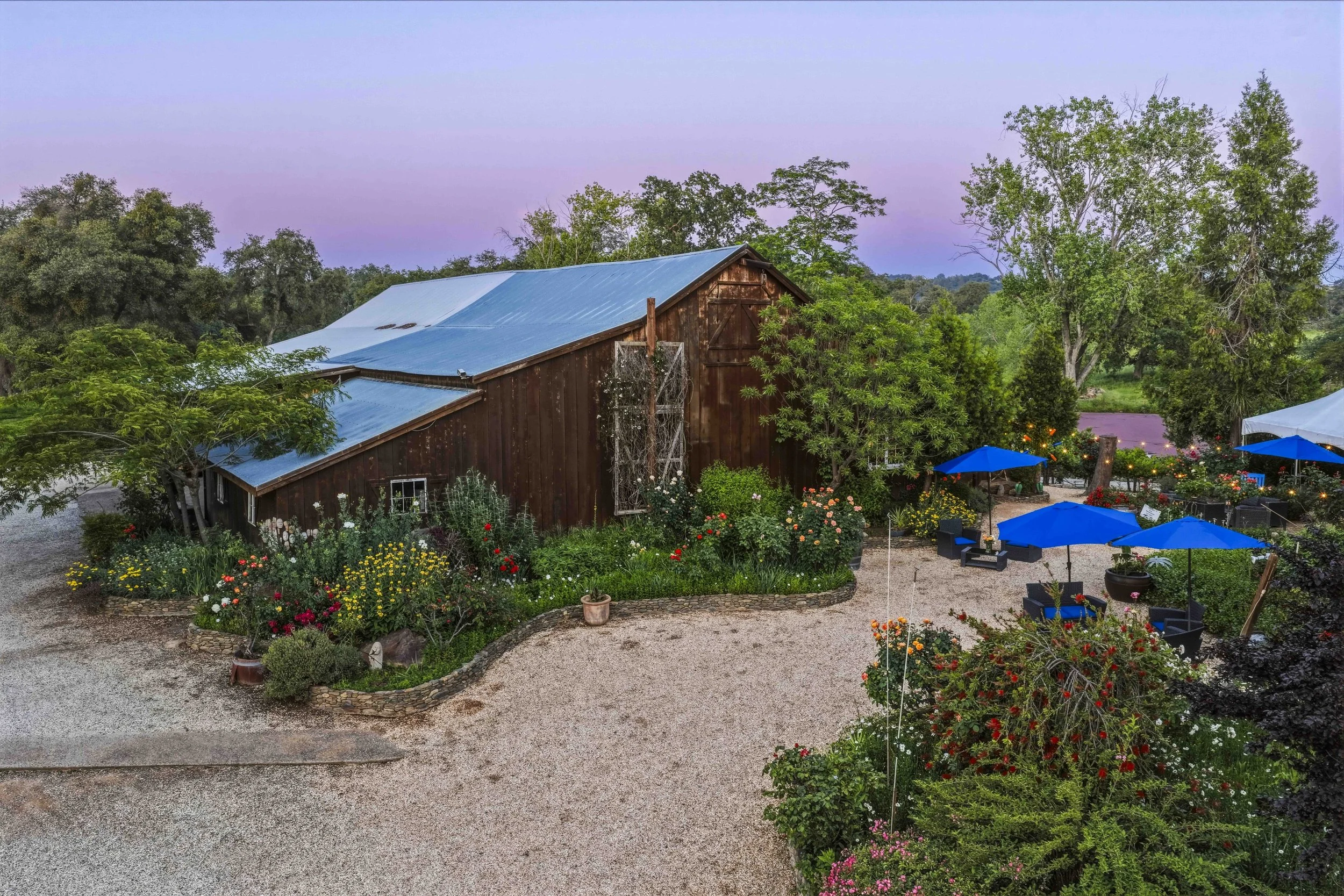 Young's Vineyard Twilights - _35.jpg