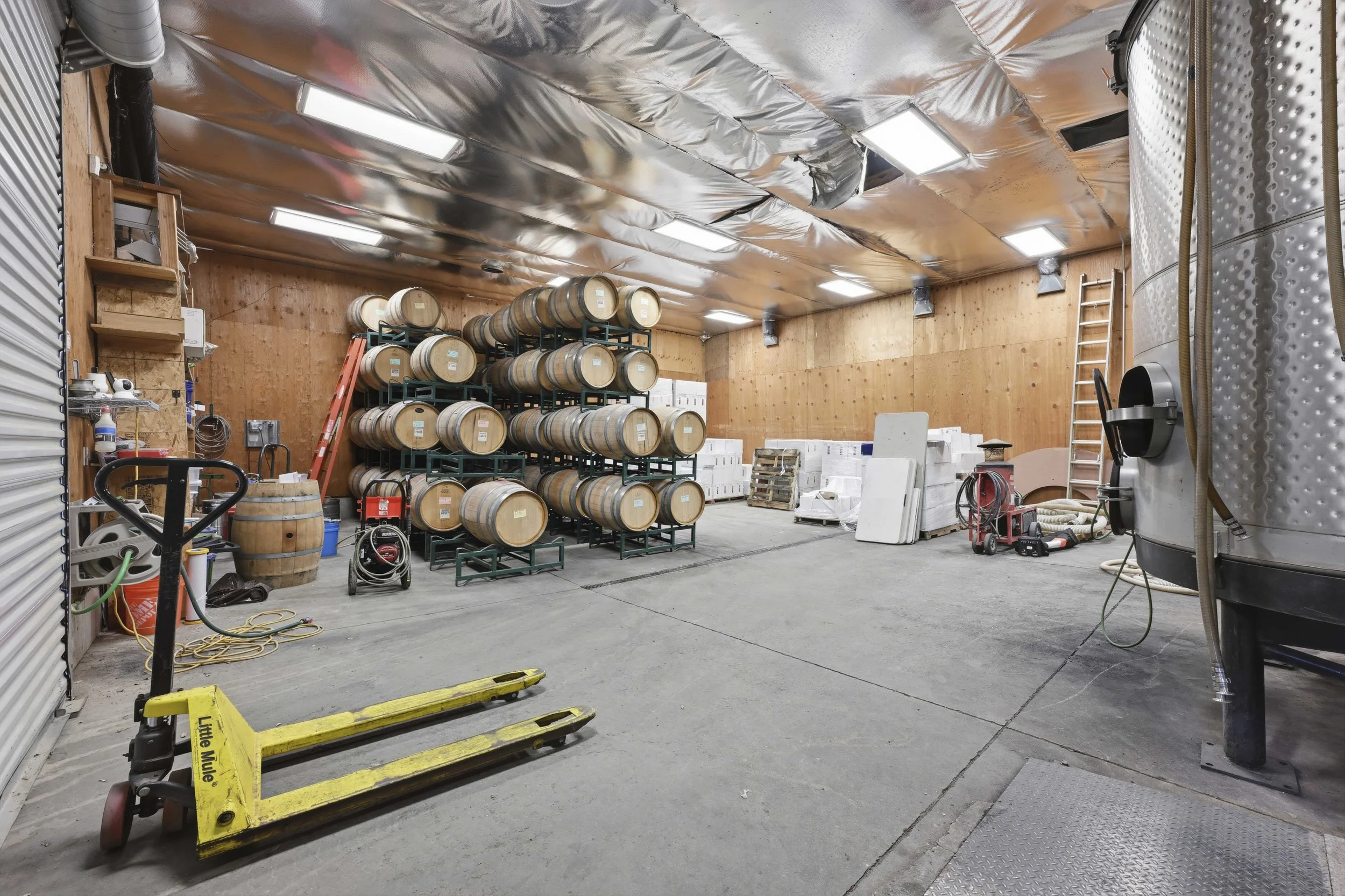 Young's Vineyard - 142.jpg