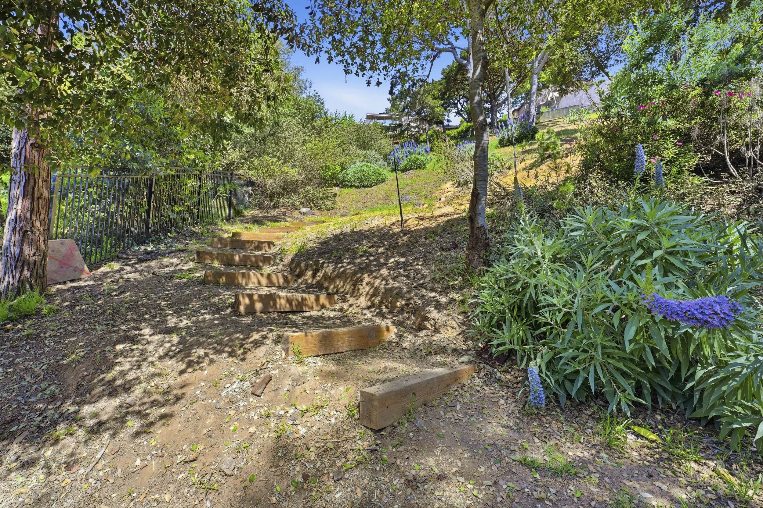 107 Mount Tiburon 22.jpg