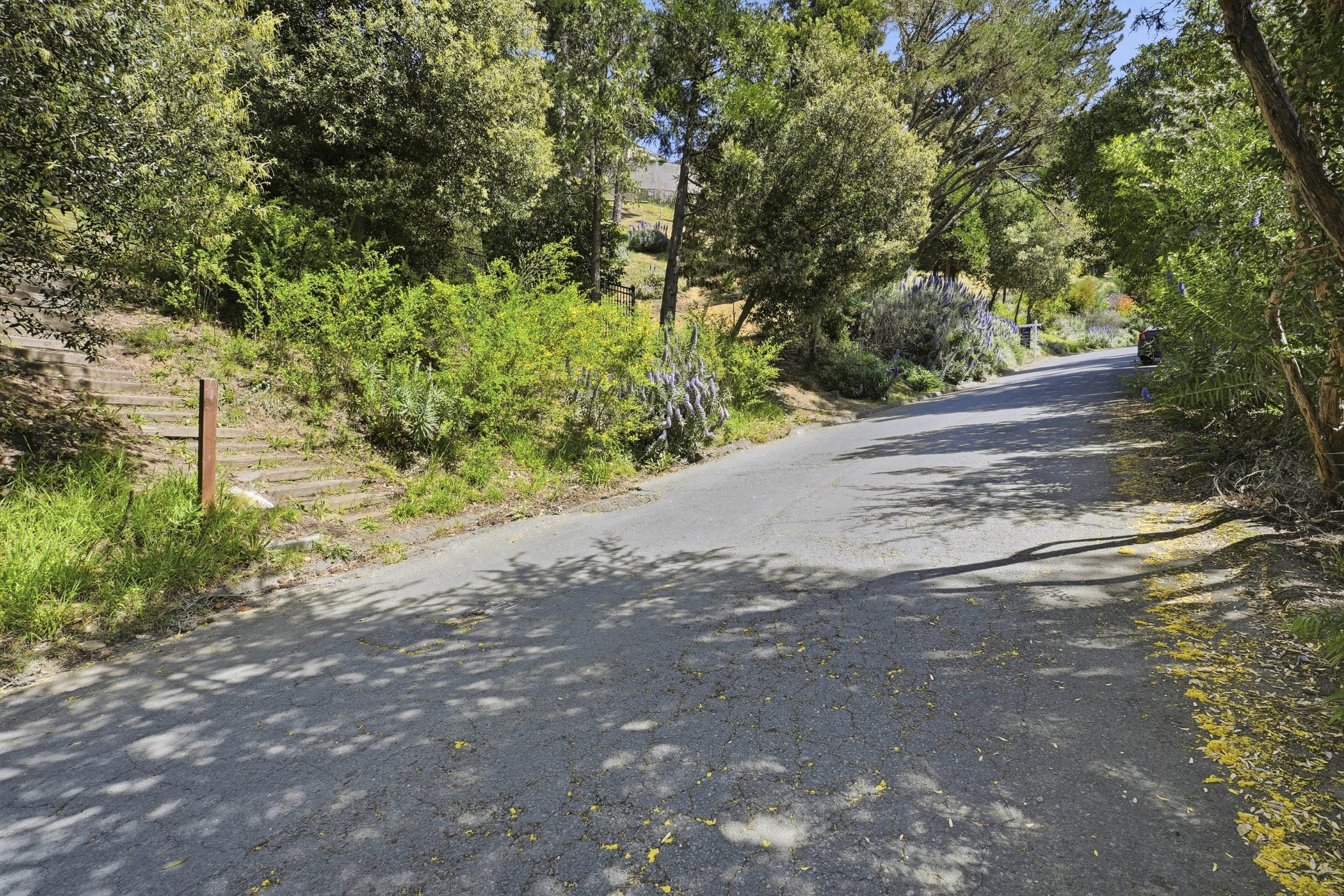 107 Mount Tiburon 16.jpg