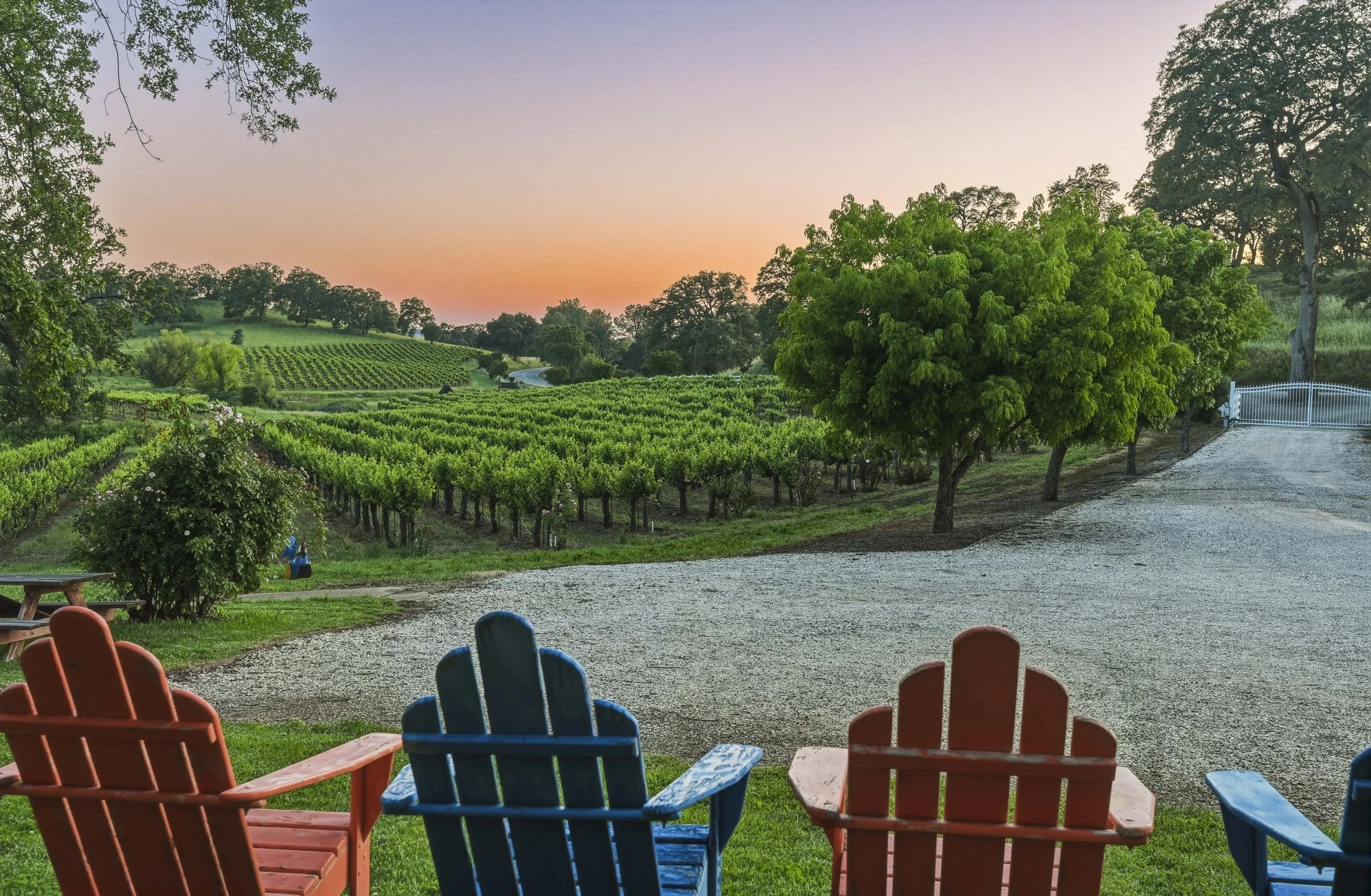 Young's Vineyard Twilights - _57.jpg