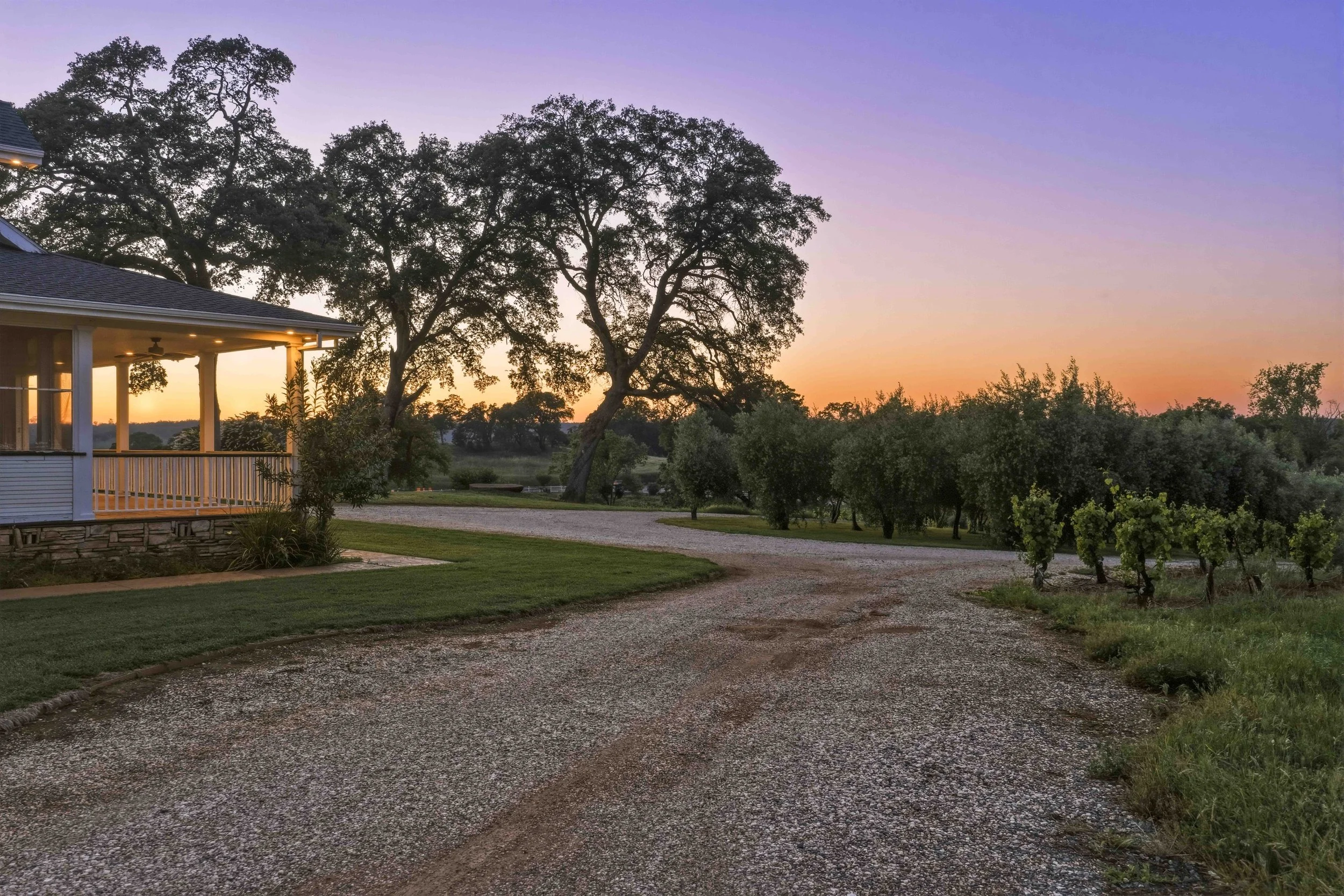 Young's Vineyard Twilights - _47.jpg