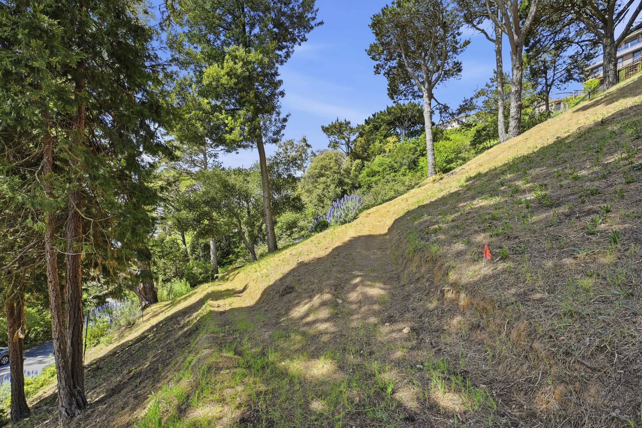 107 Mount Tiburon 27.jpg