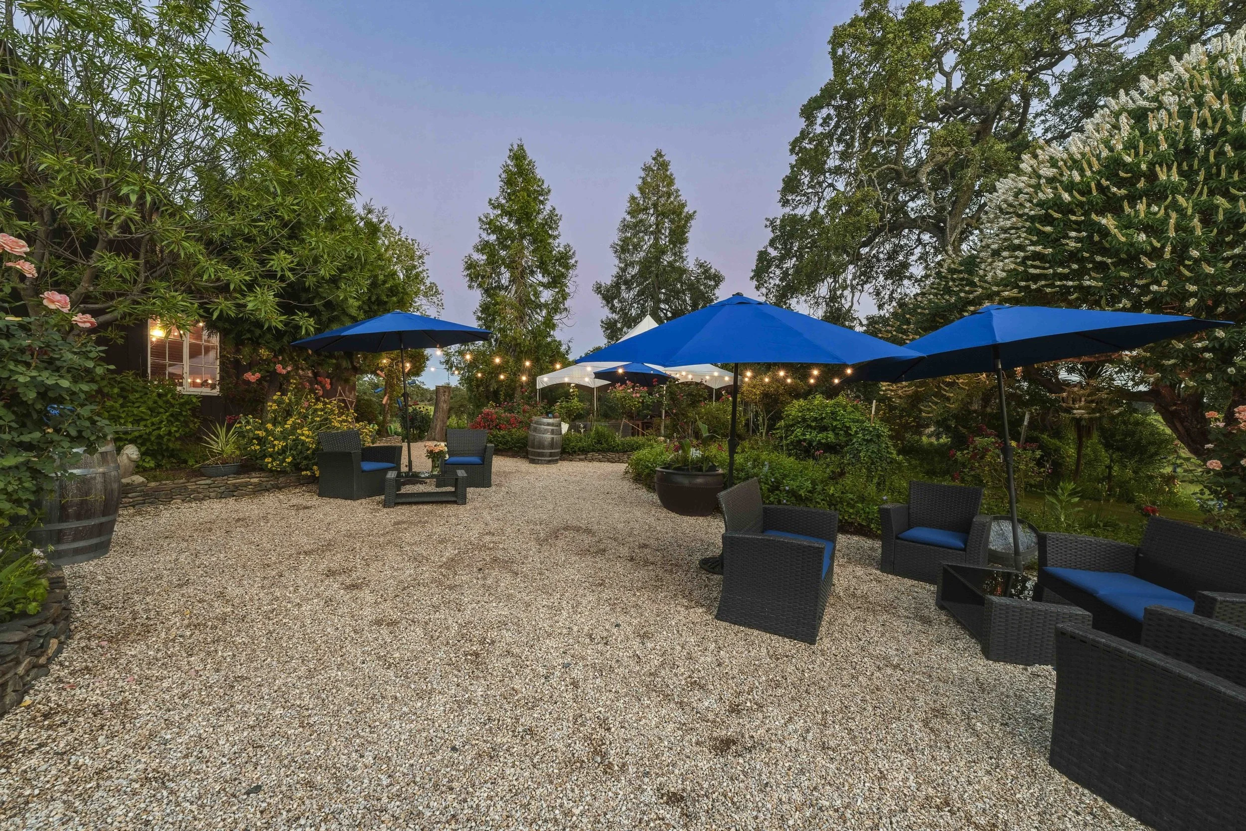 Young's Vineyard Twilights - _53.jpg