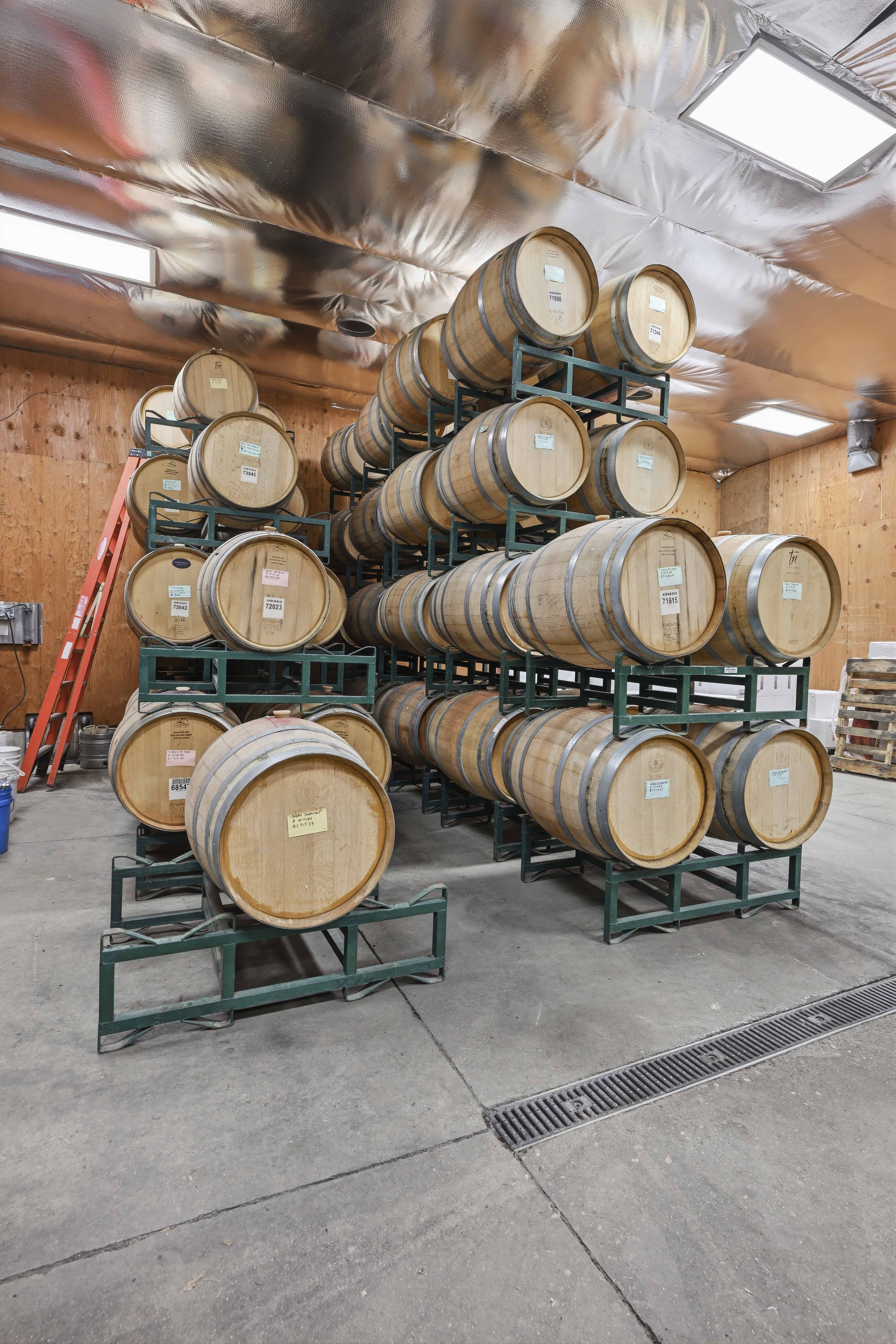 Youngs Vineyard 197.jpg