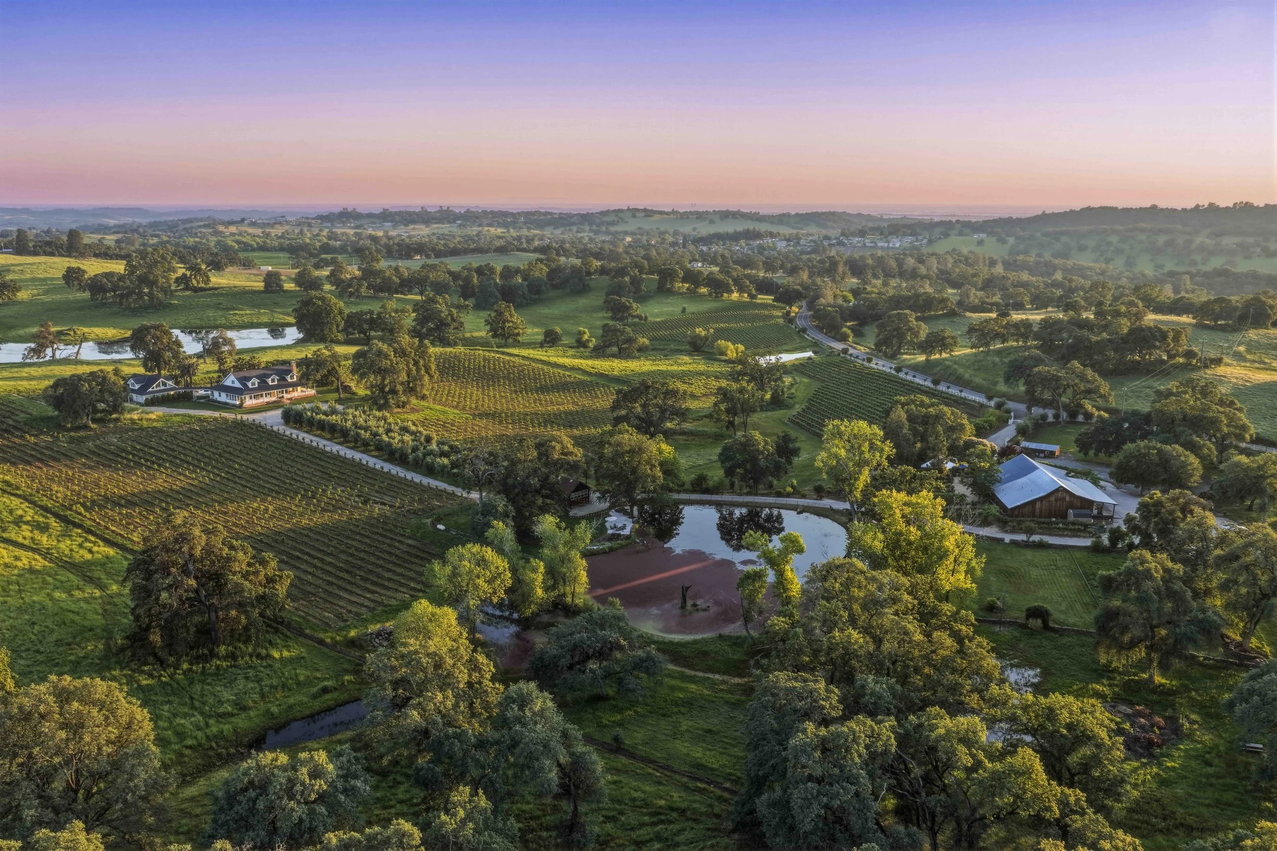Young's Vineyard Twilights - _1.jpg