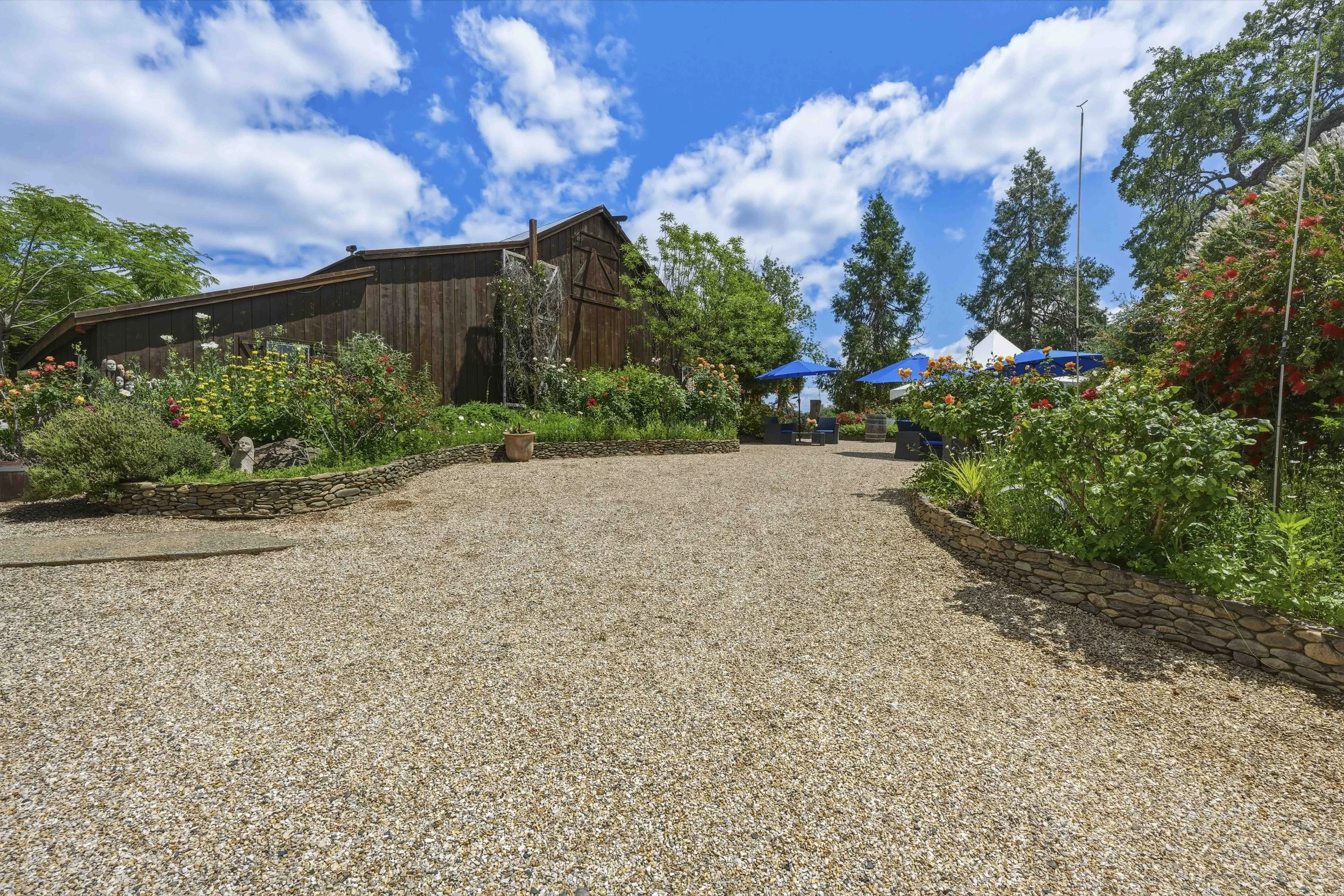 Young's Vineyard - 105.jpg