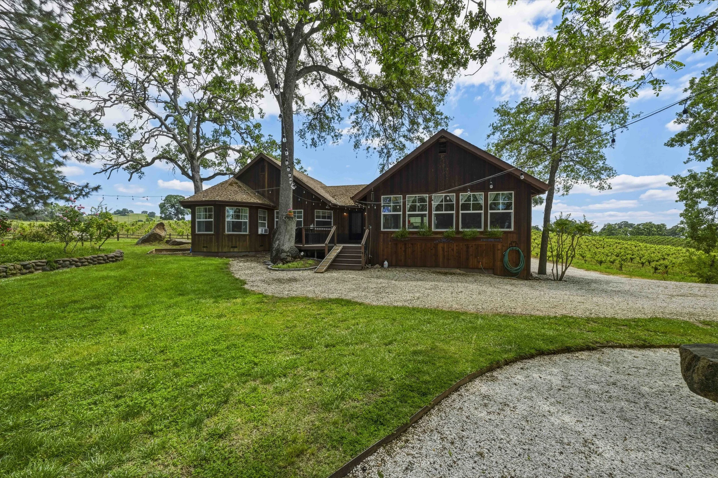 Young's Vineyard - 159.jpg
