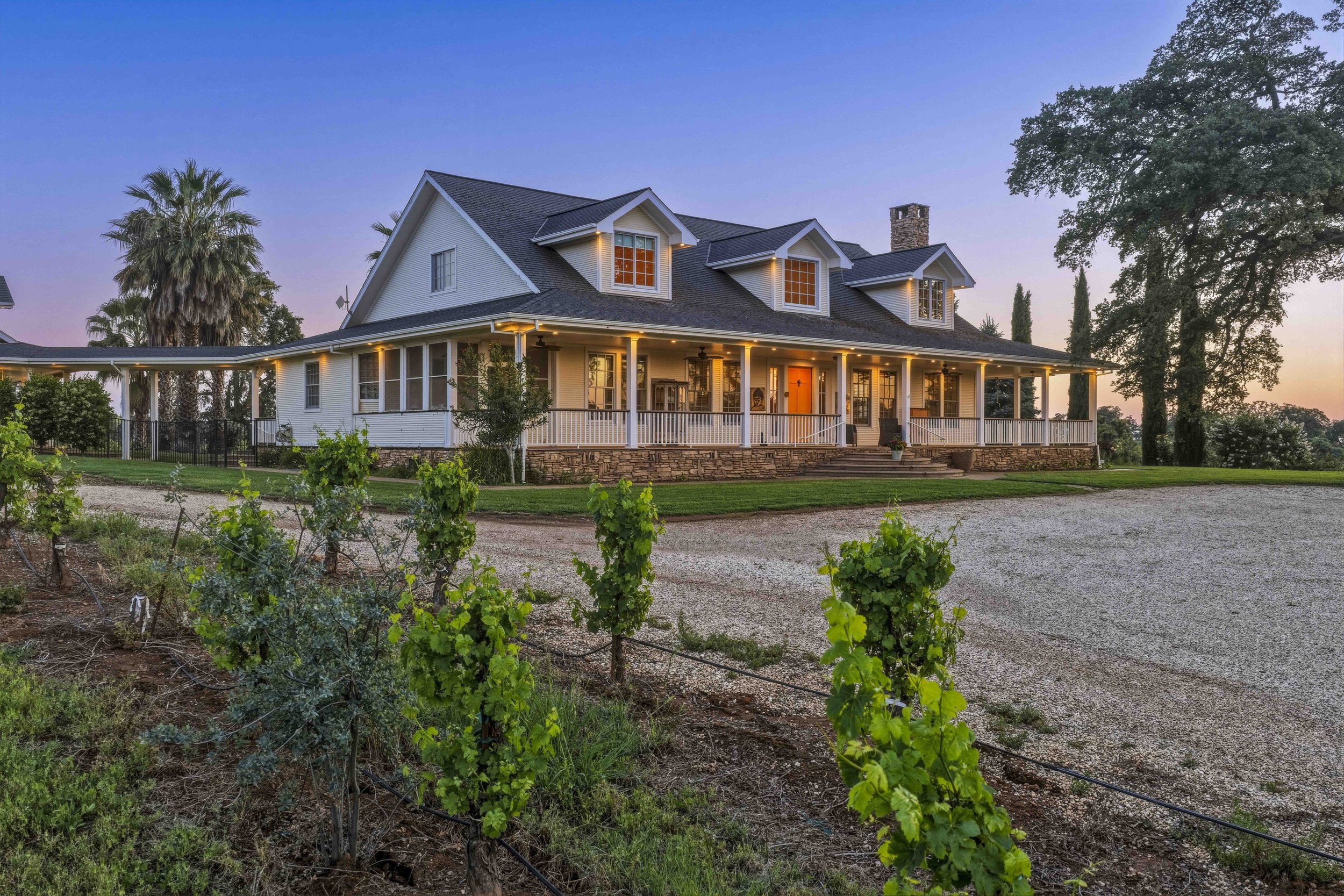 Young's Vineyard Twilights - _33.jpg