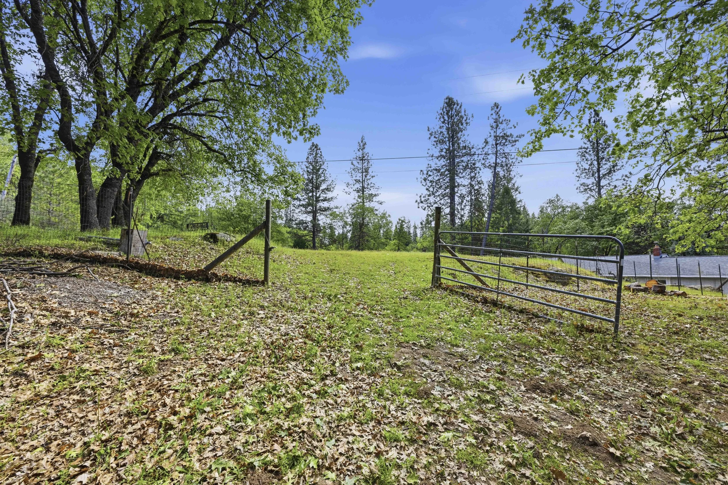 6169 Sweeney Rd 85.jpg