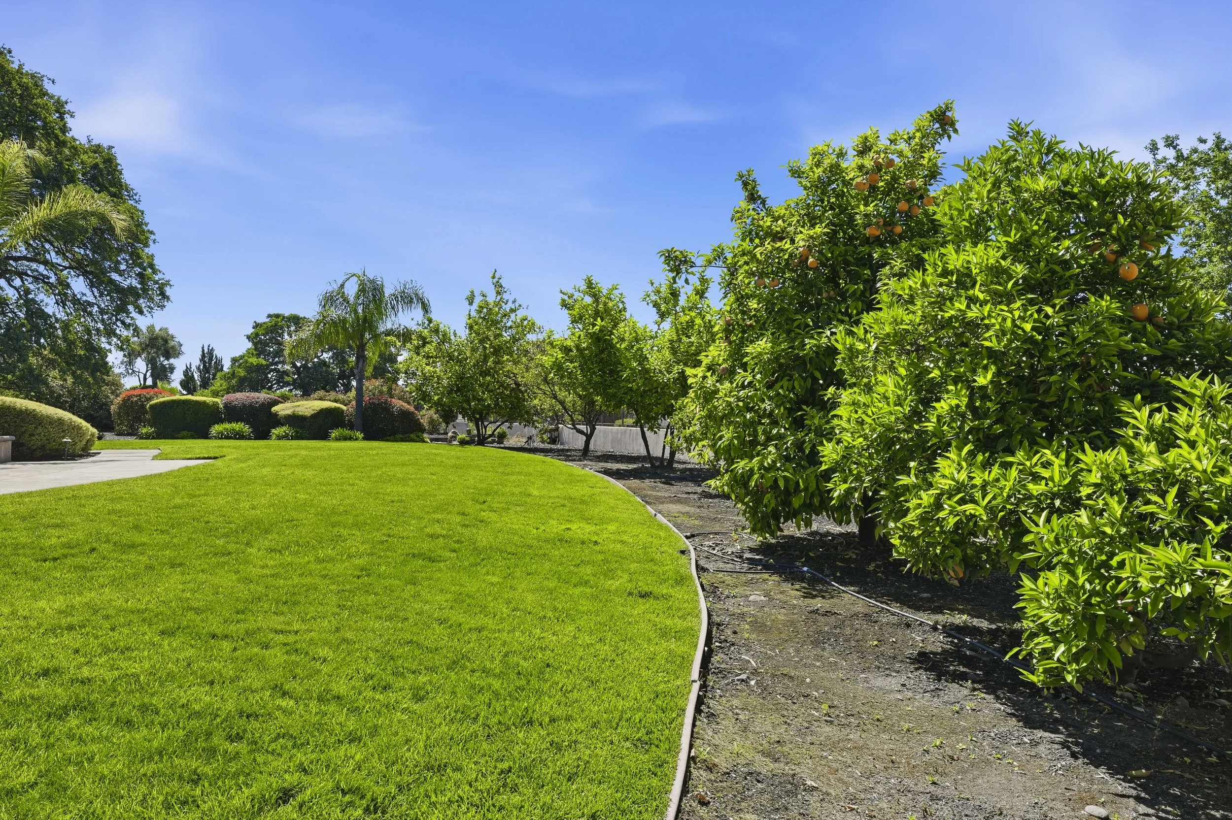 3276 Vista De Madera _40.jpg