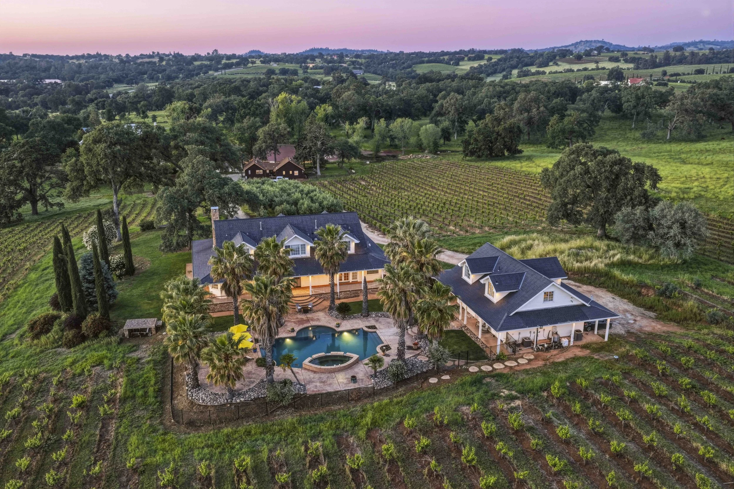 Young's Vineyard Twilights - _40.jpg