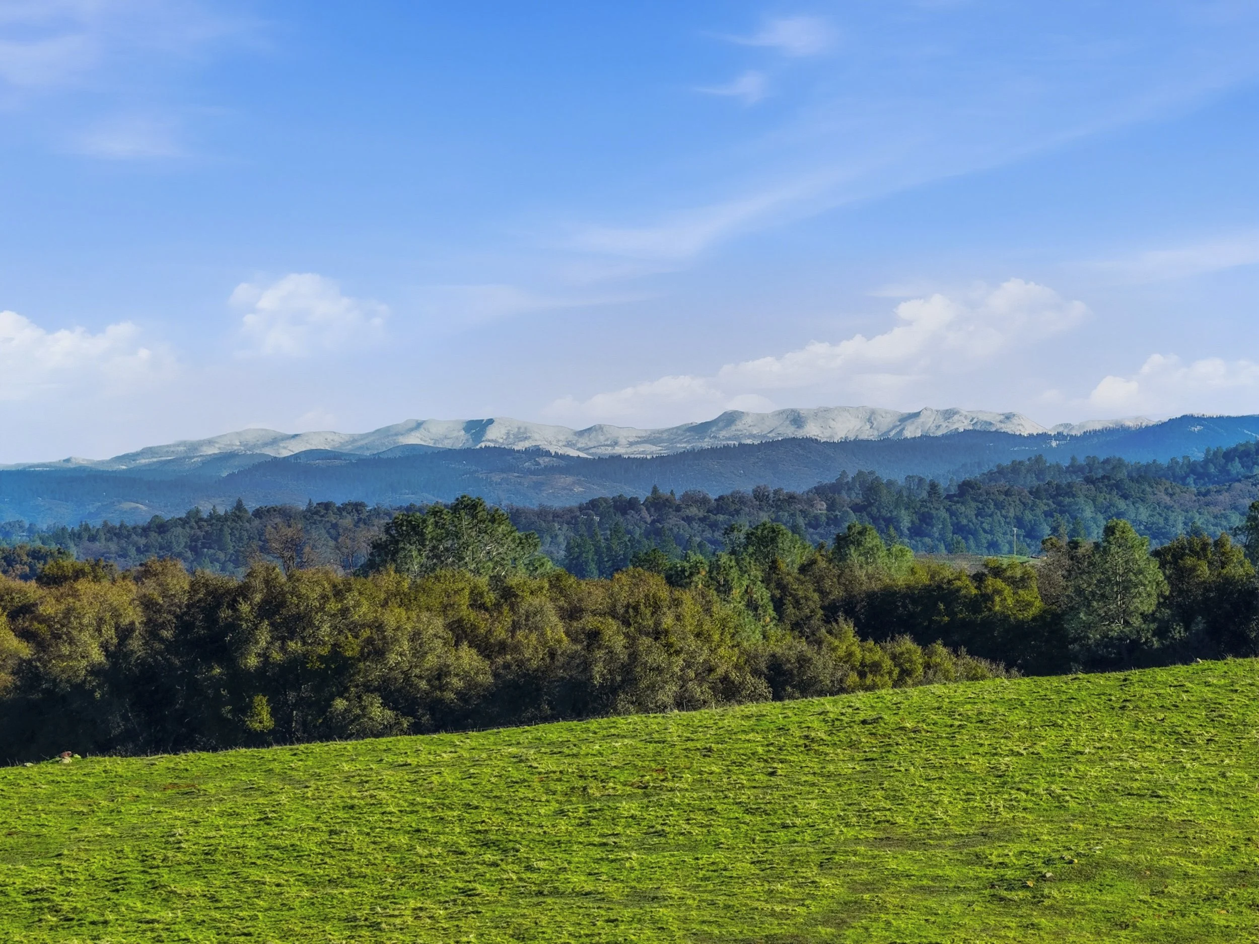 11777 Shenandoah Rd 19.jpg