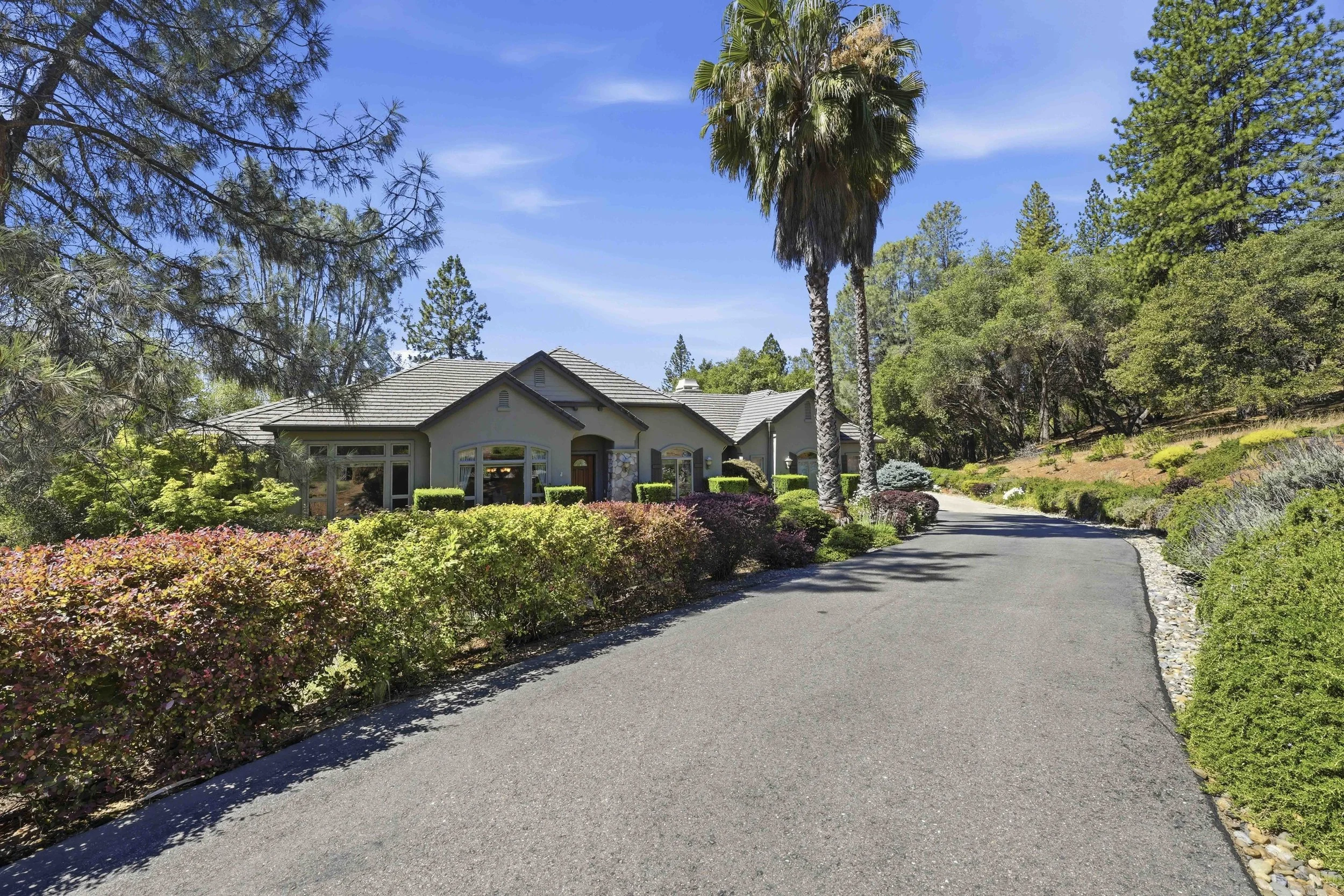 1109 Holly Leaf Ln_18.jpg