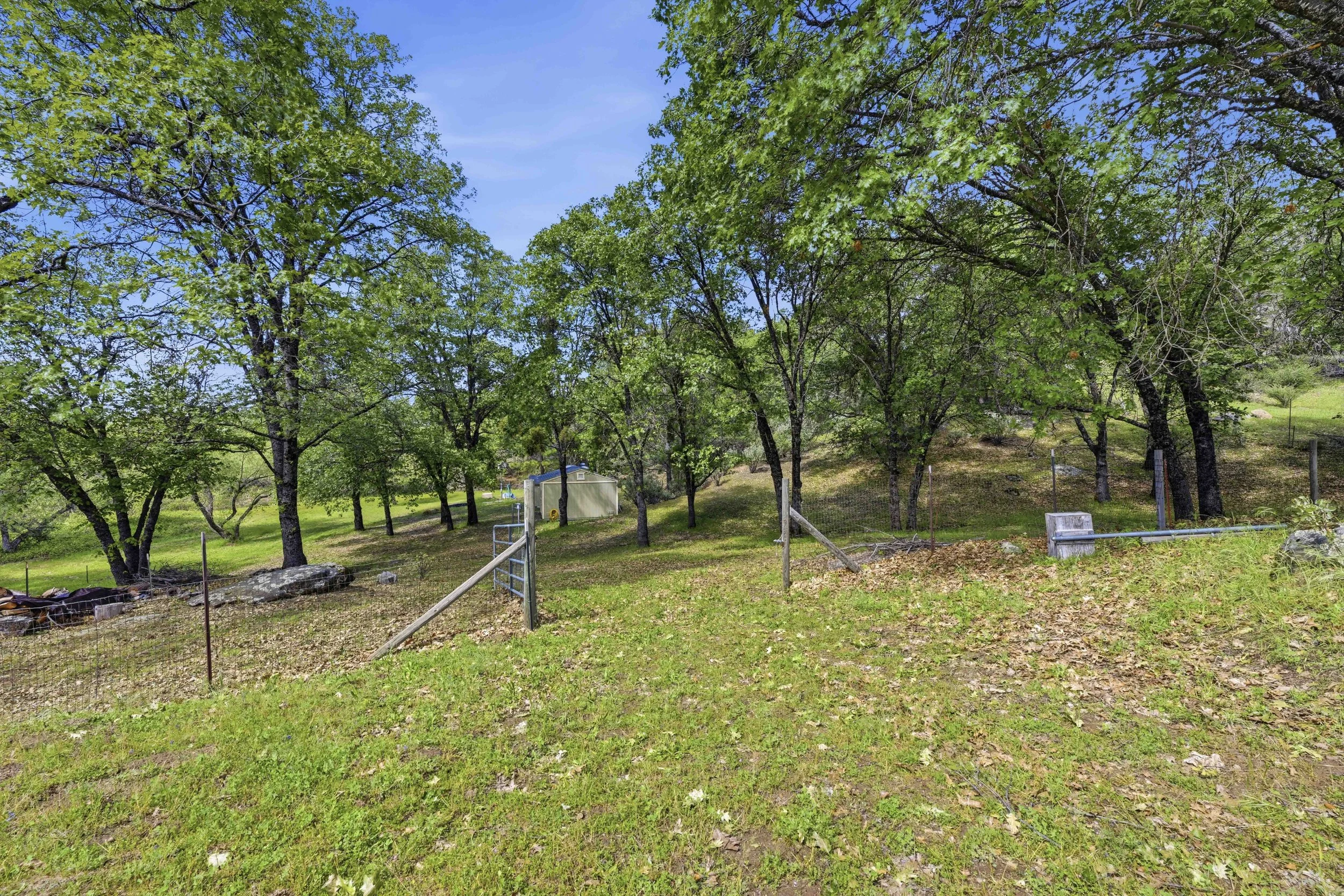 6169 Sweeney Rd 91.jpg