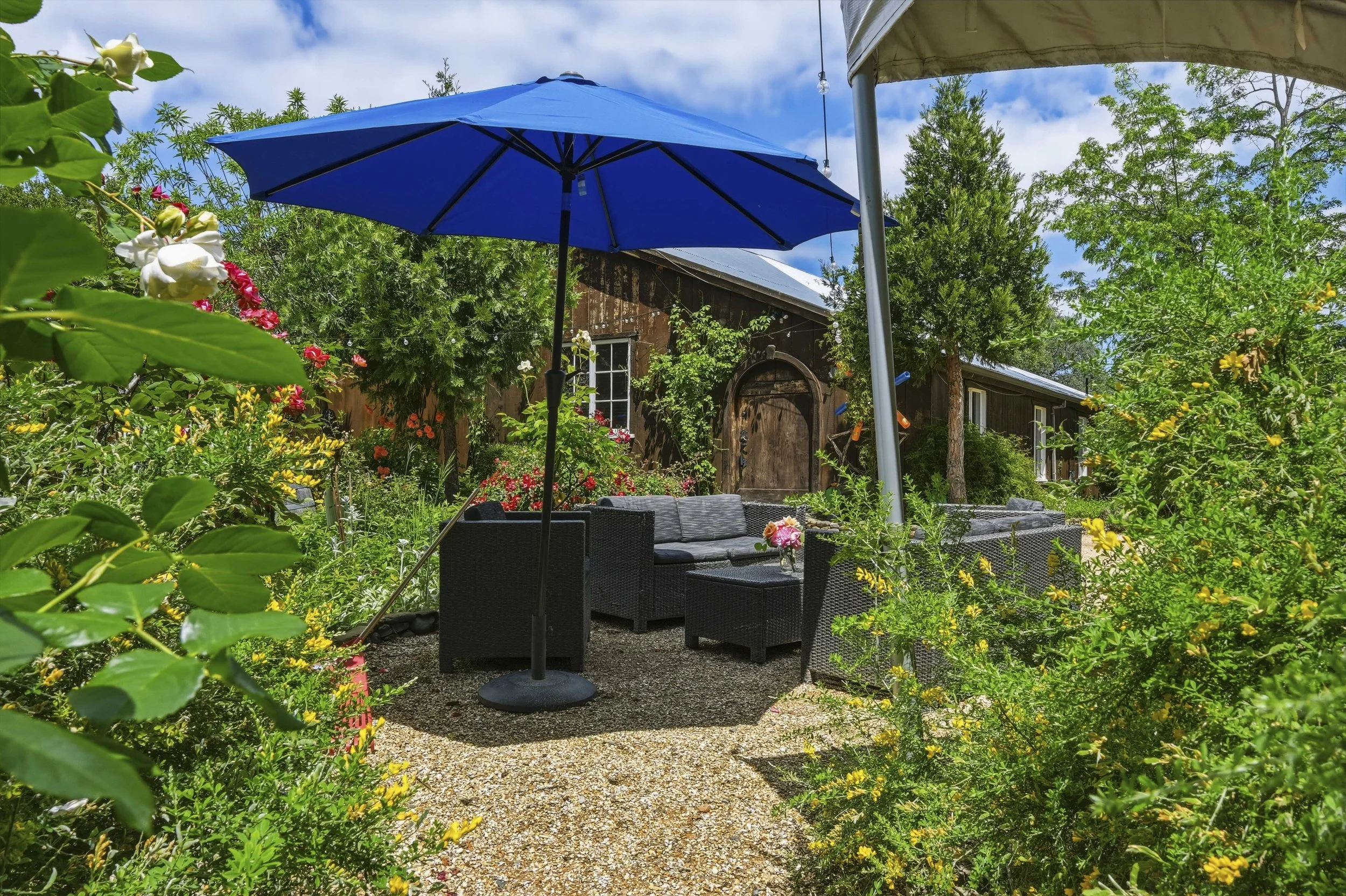 Youngs Vineyard 184.jpg