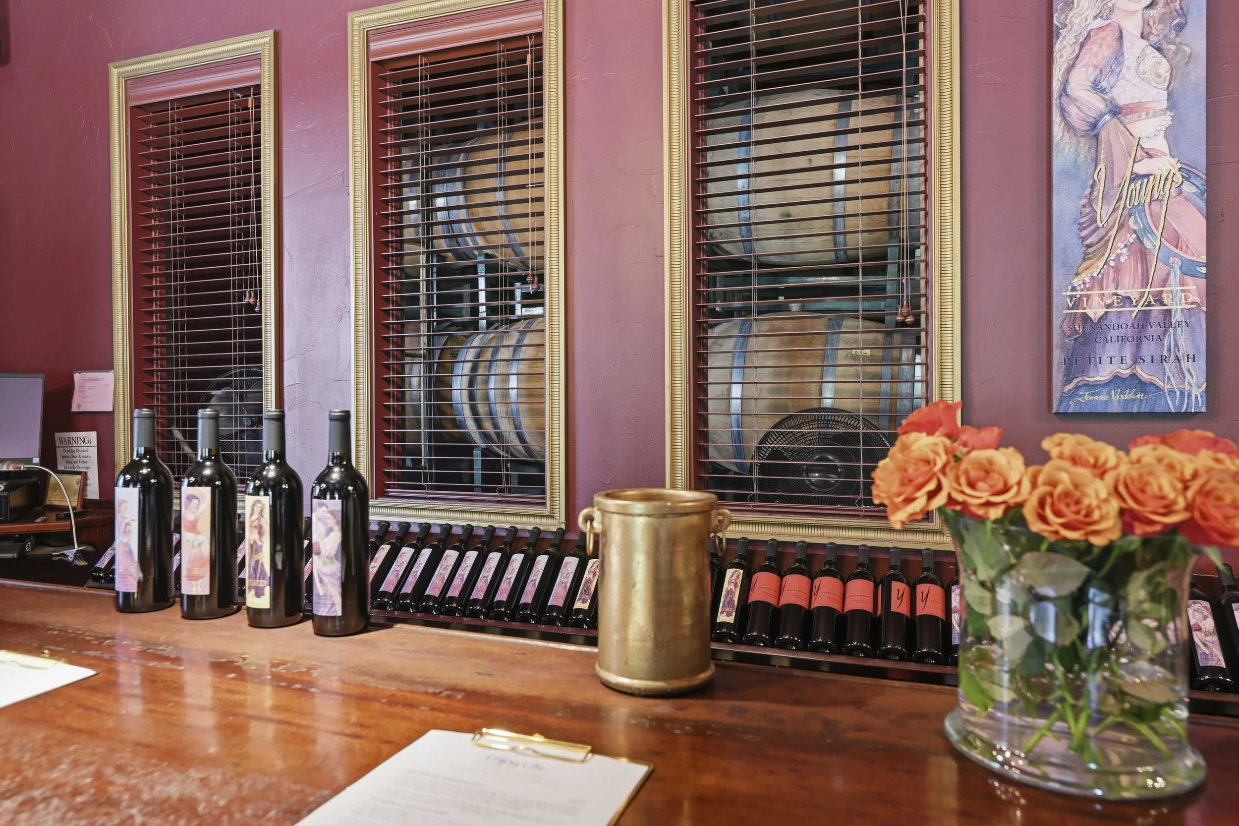 Young's Vineyard - 134.jpg