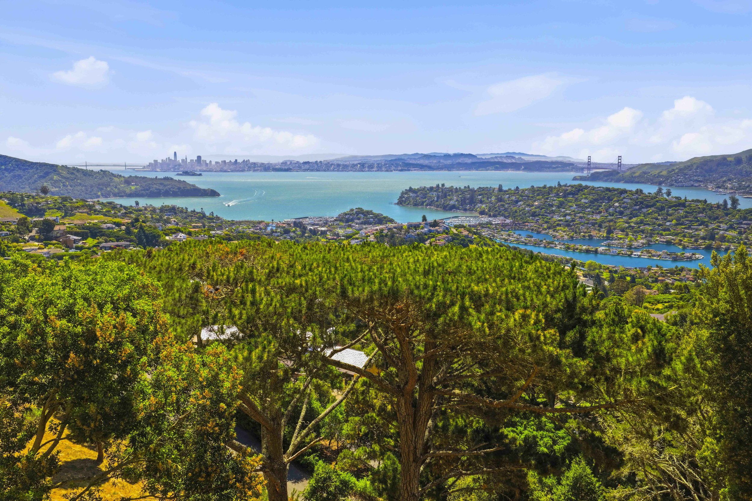 107 Mount Tiburon 65.jpg