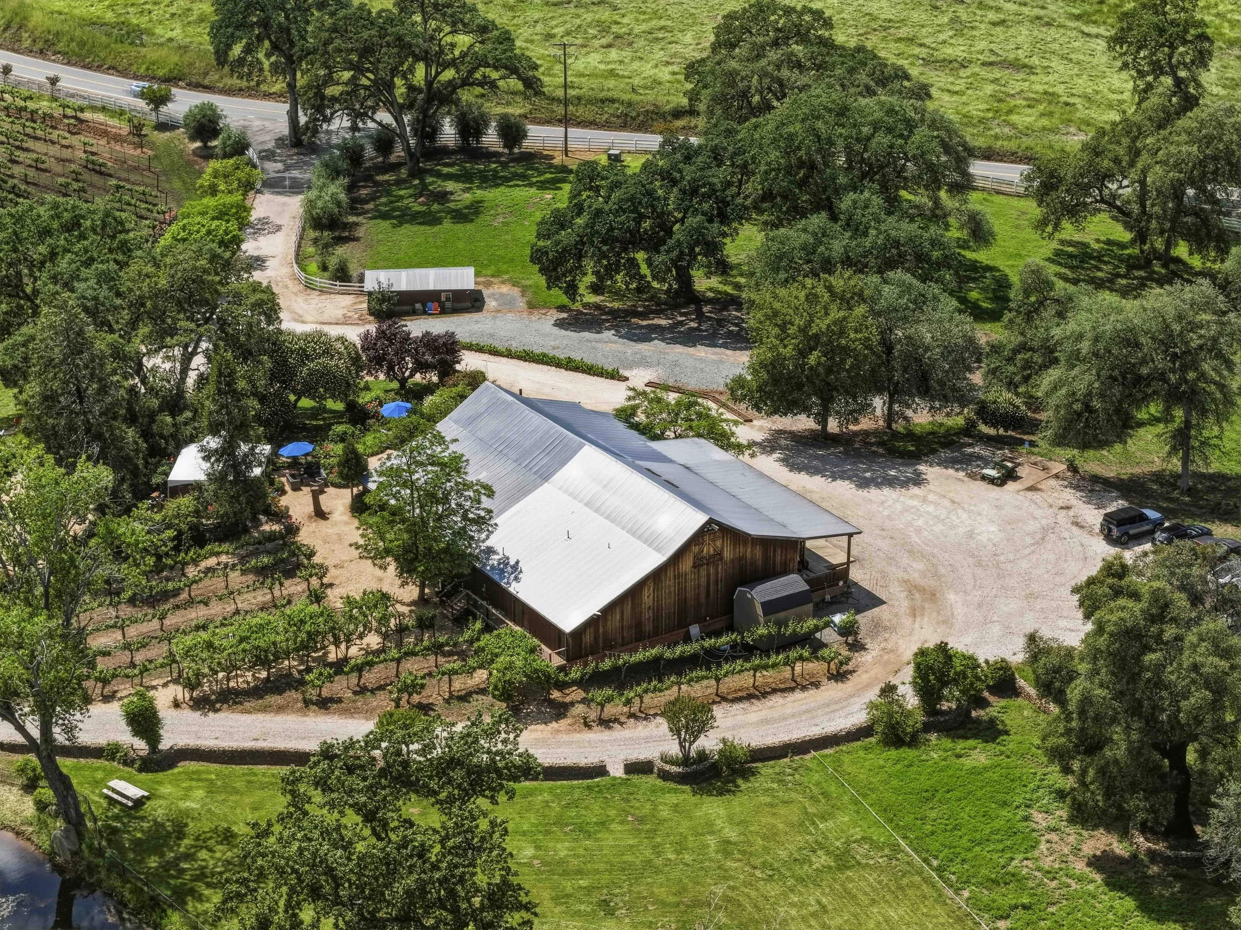 Young's Vineyard - 5.jpg