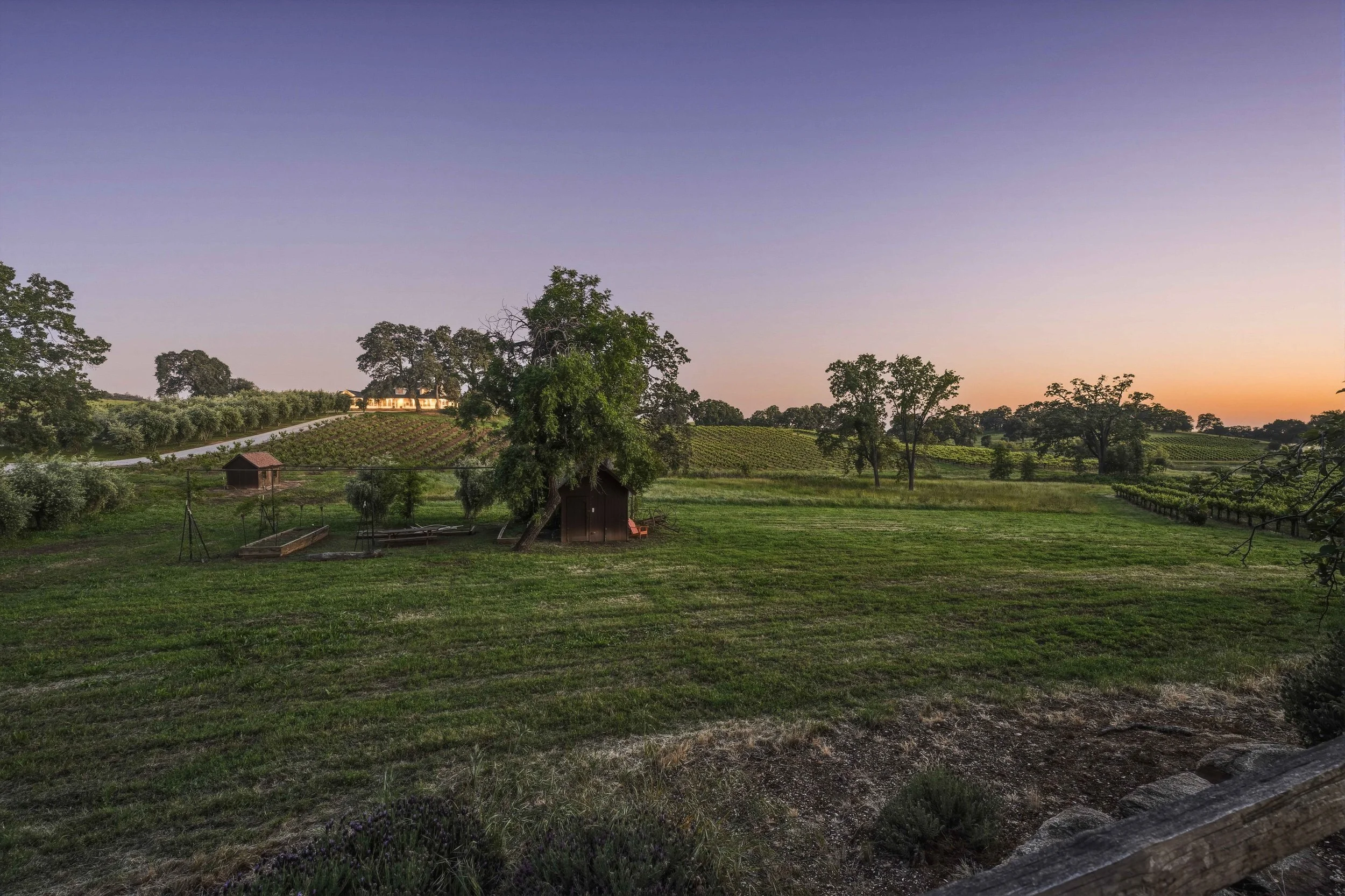 Young's Vineyard Twilights - _62.jpg