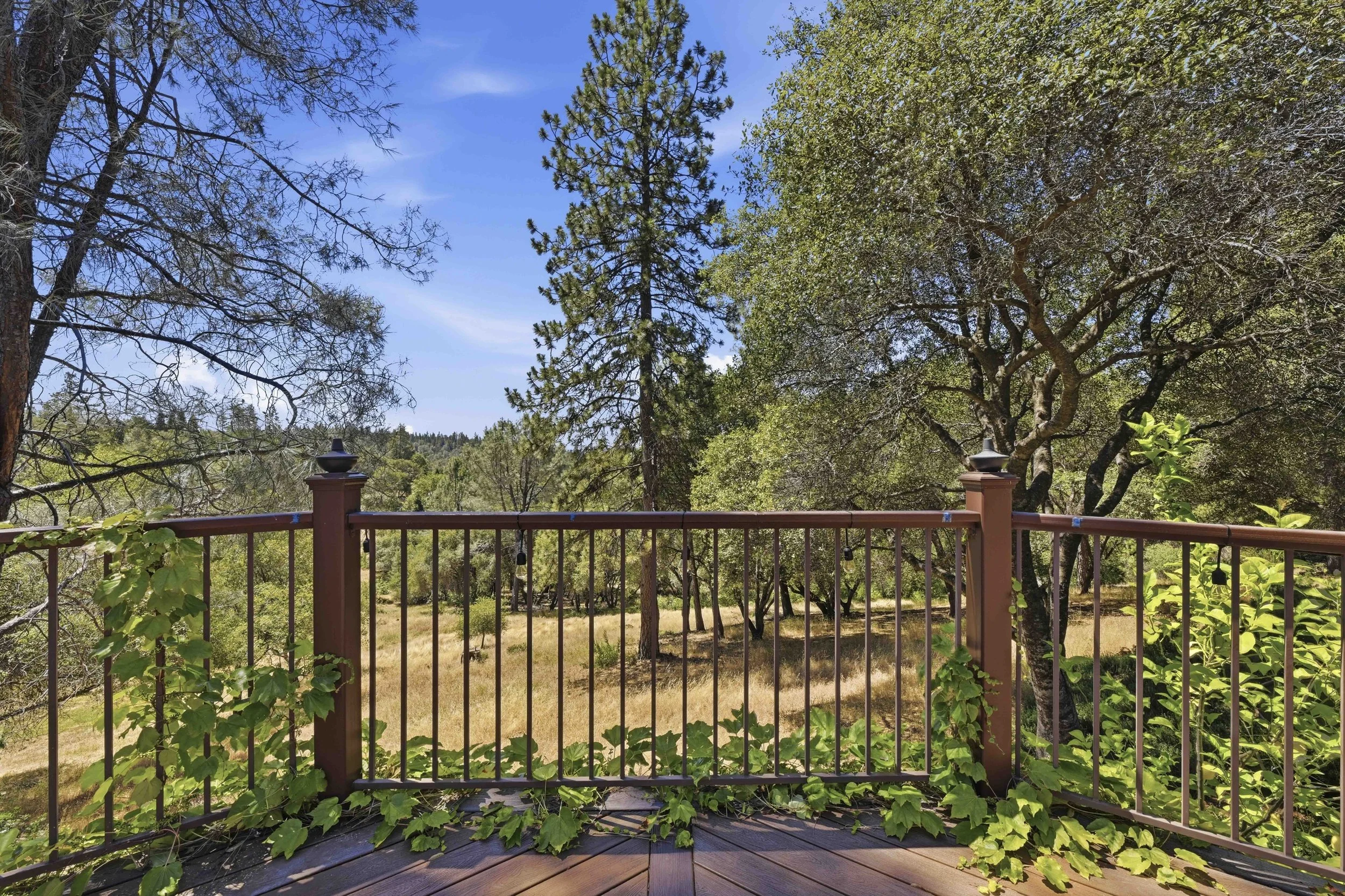 1109 Holly Leaf Ln_91.jpg