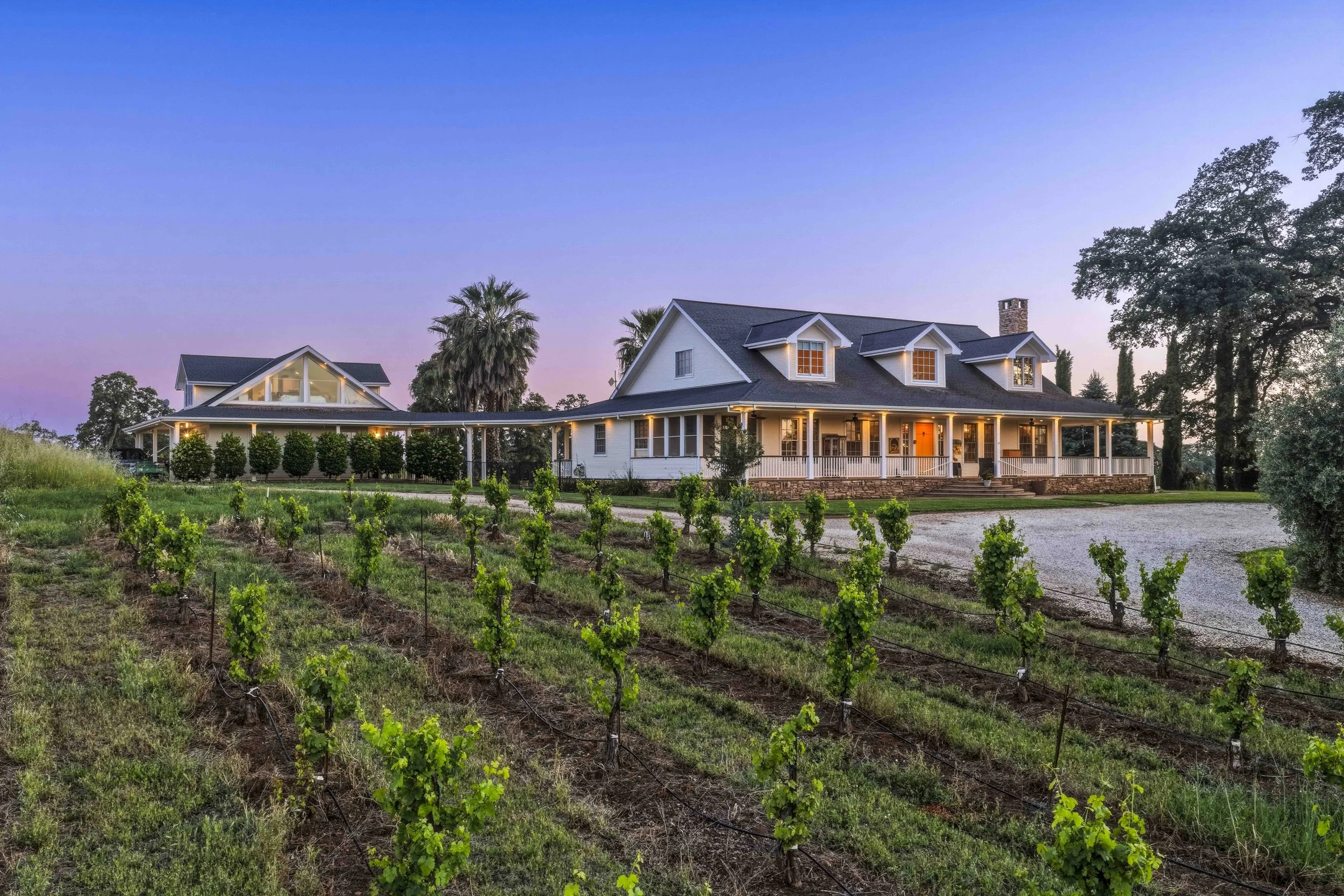 Young's Vineyard Twilights - _34.jpg