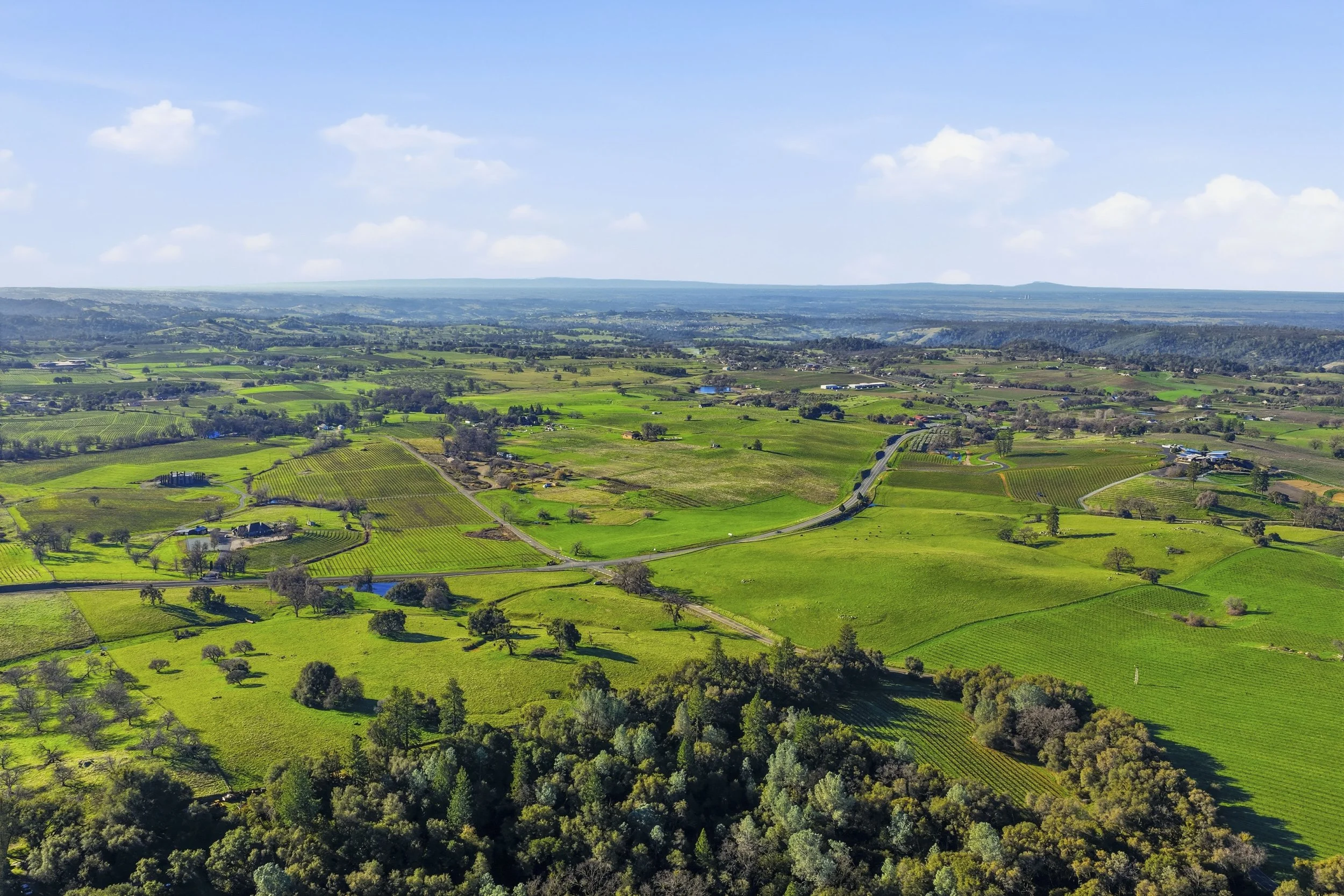 11777 Shenandoah Rd 12.jpg