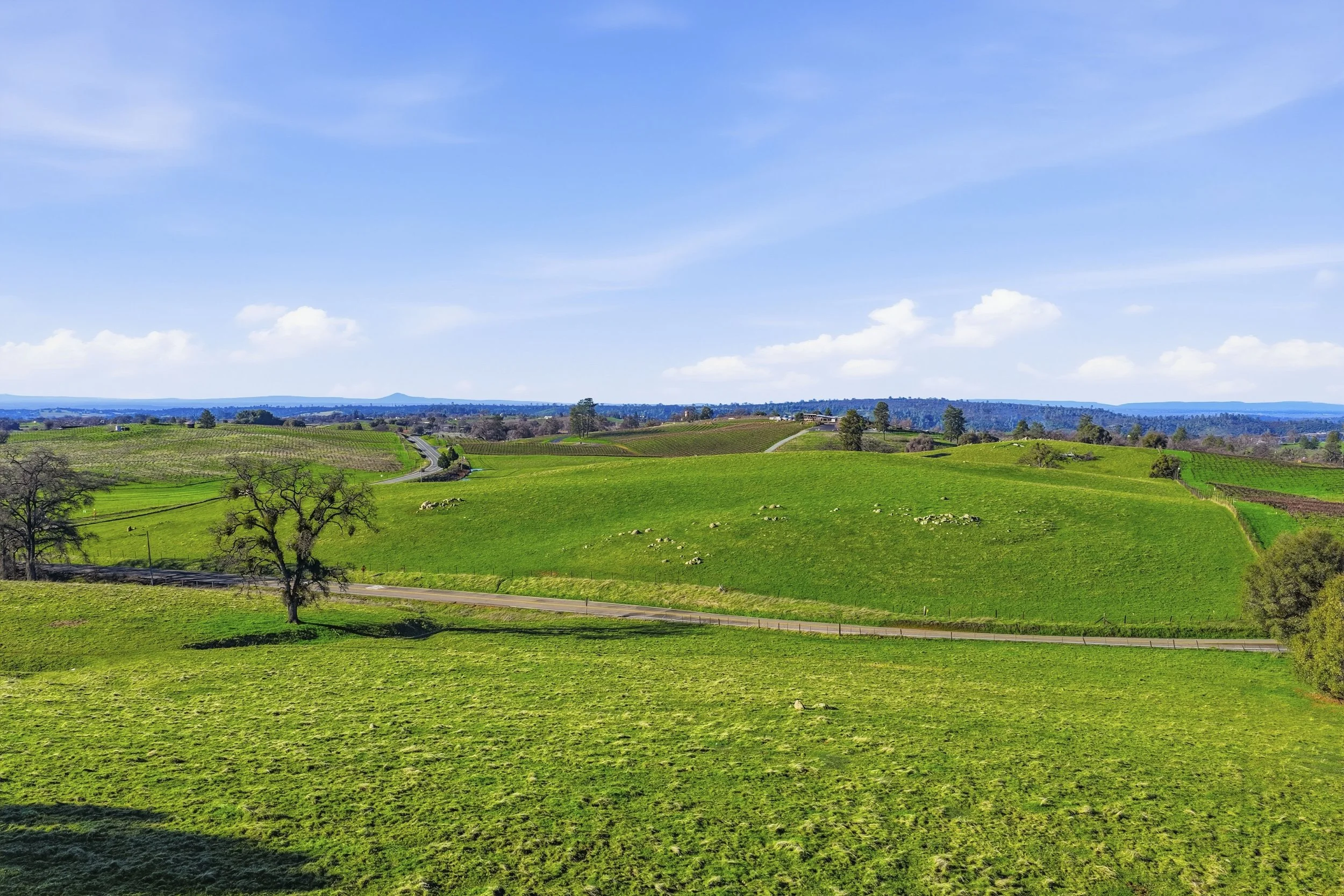 11777 Shenandoah Rd 24.jpg