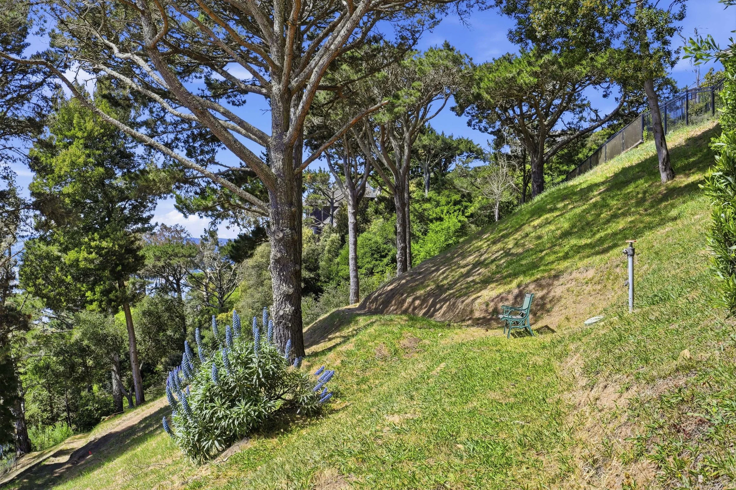 107 Mount Tiburon 32.jpg