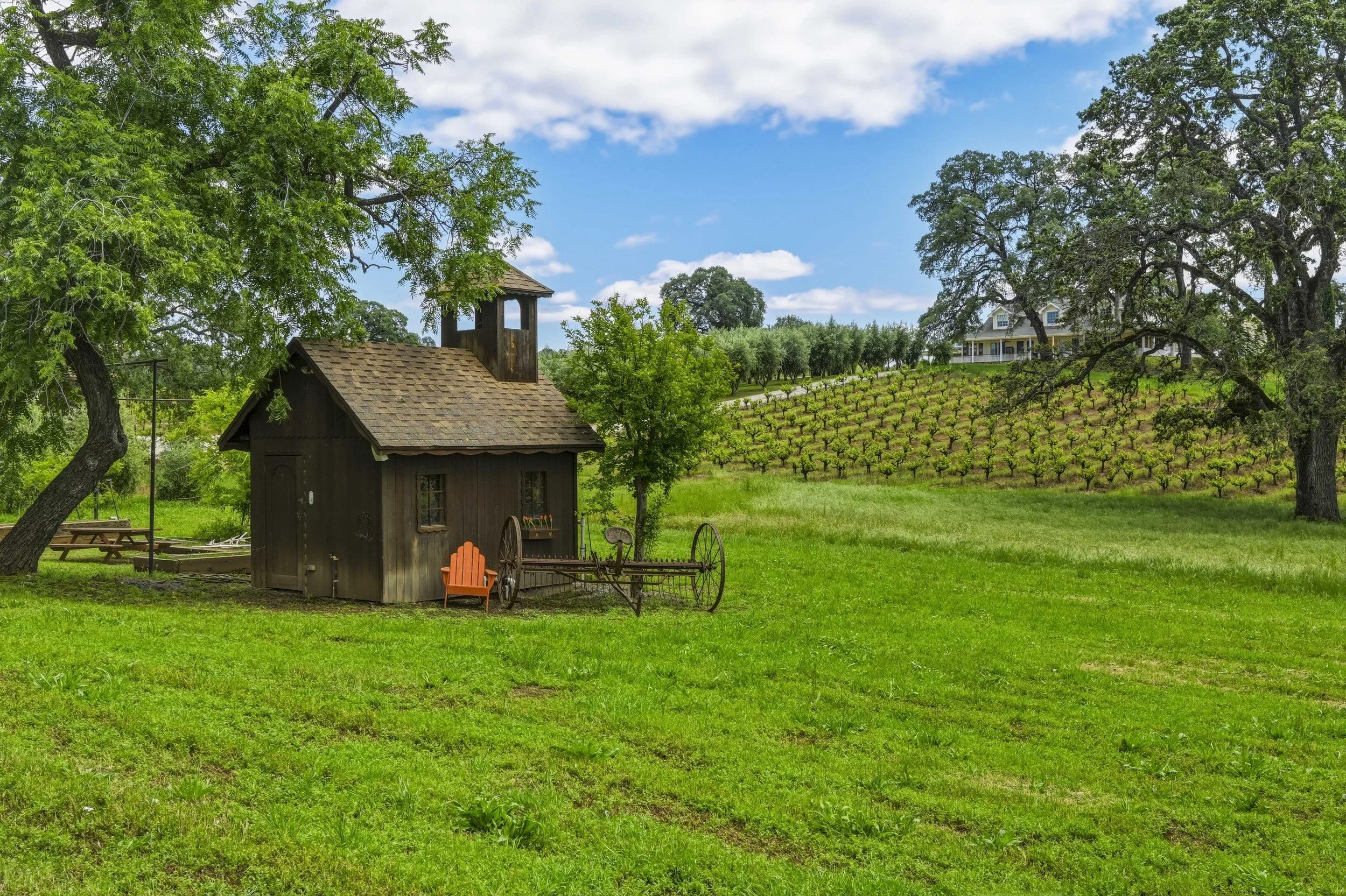 Young's Vineyard - 152.jpg