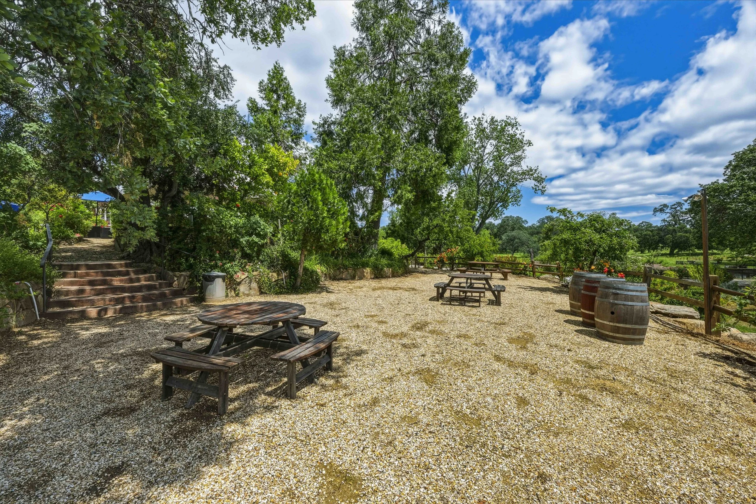 Young's Vineyard - 118.jpg