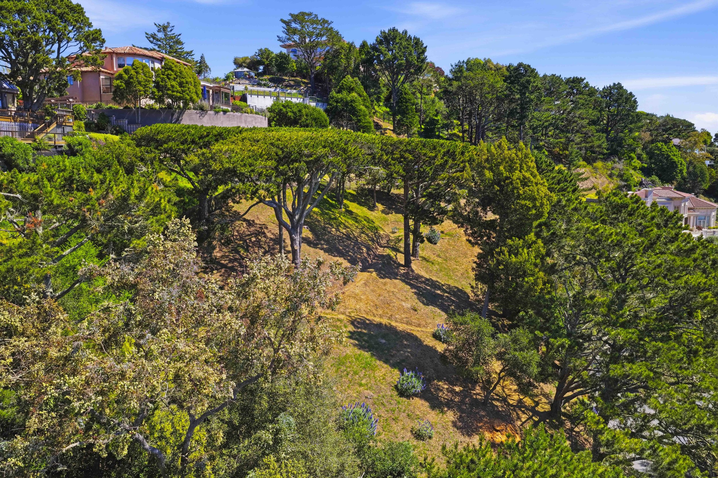 107 Mount Tiburon 55.jpg