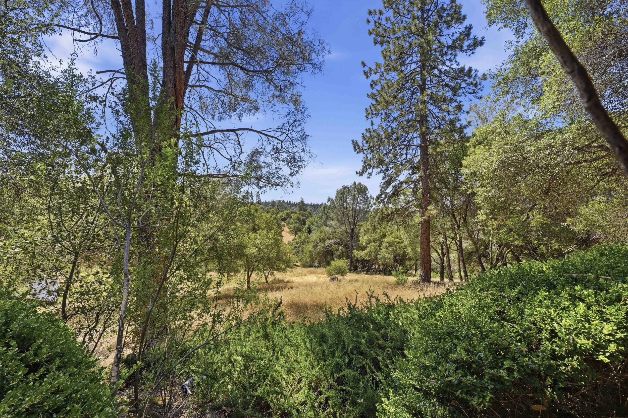 1109 Holly Leaf Ln_83.jpg