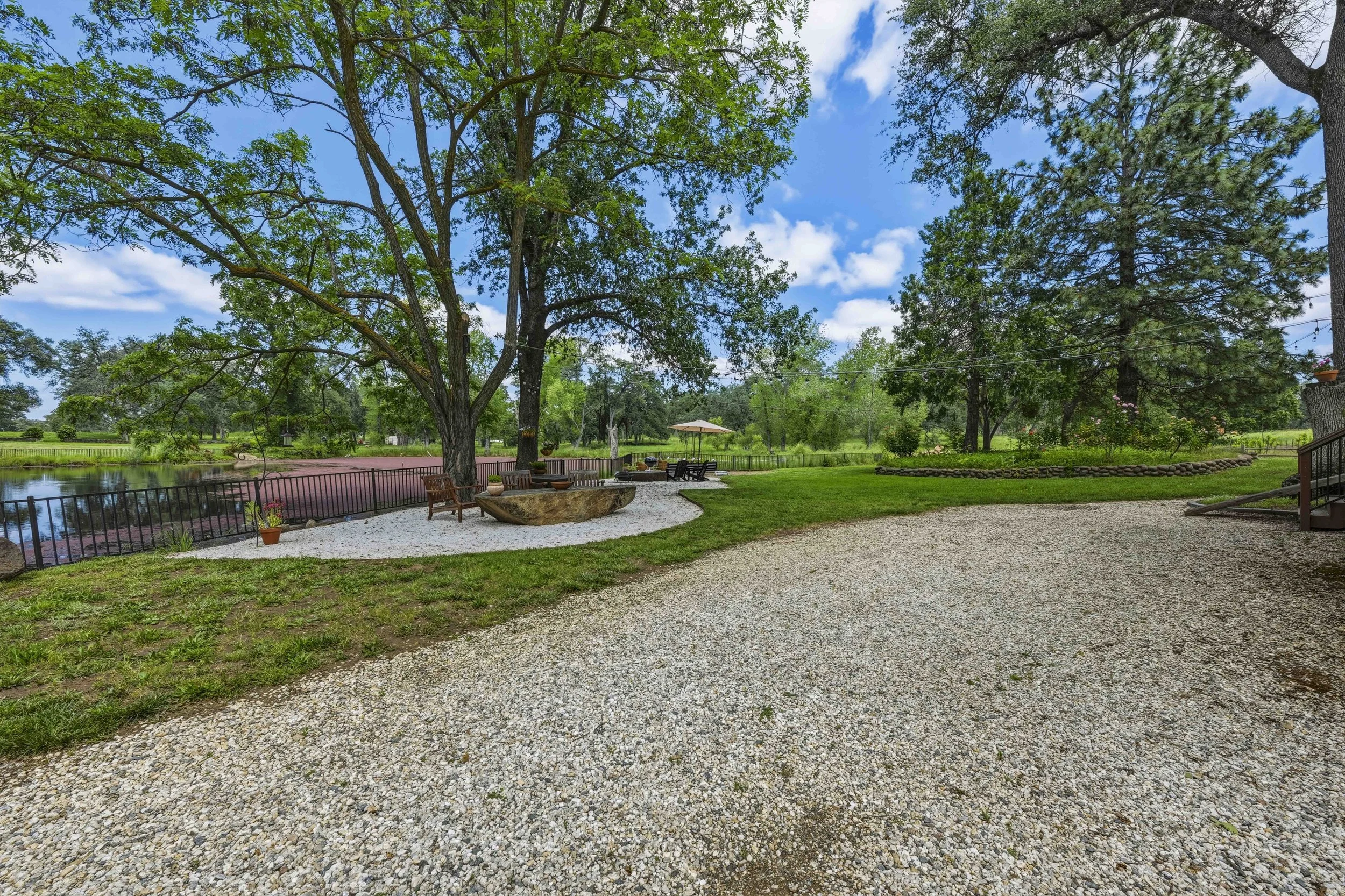Young's Vineyard - 157.jpg