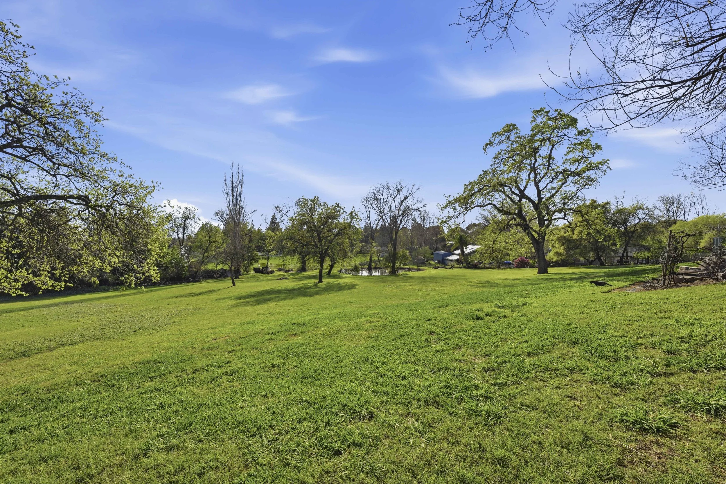 9240 Rock Springs Rd _78.jpg