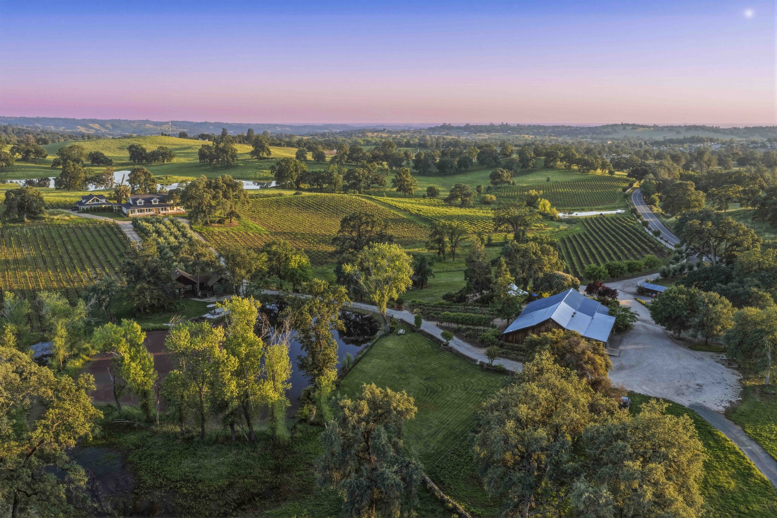 Young's Vineyard Twilights - _0.jpg