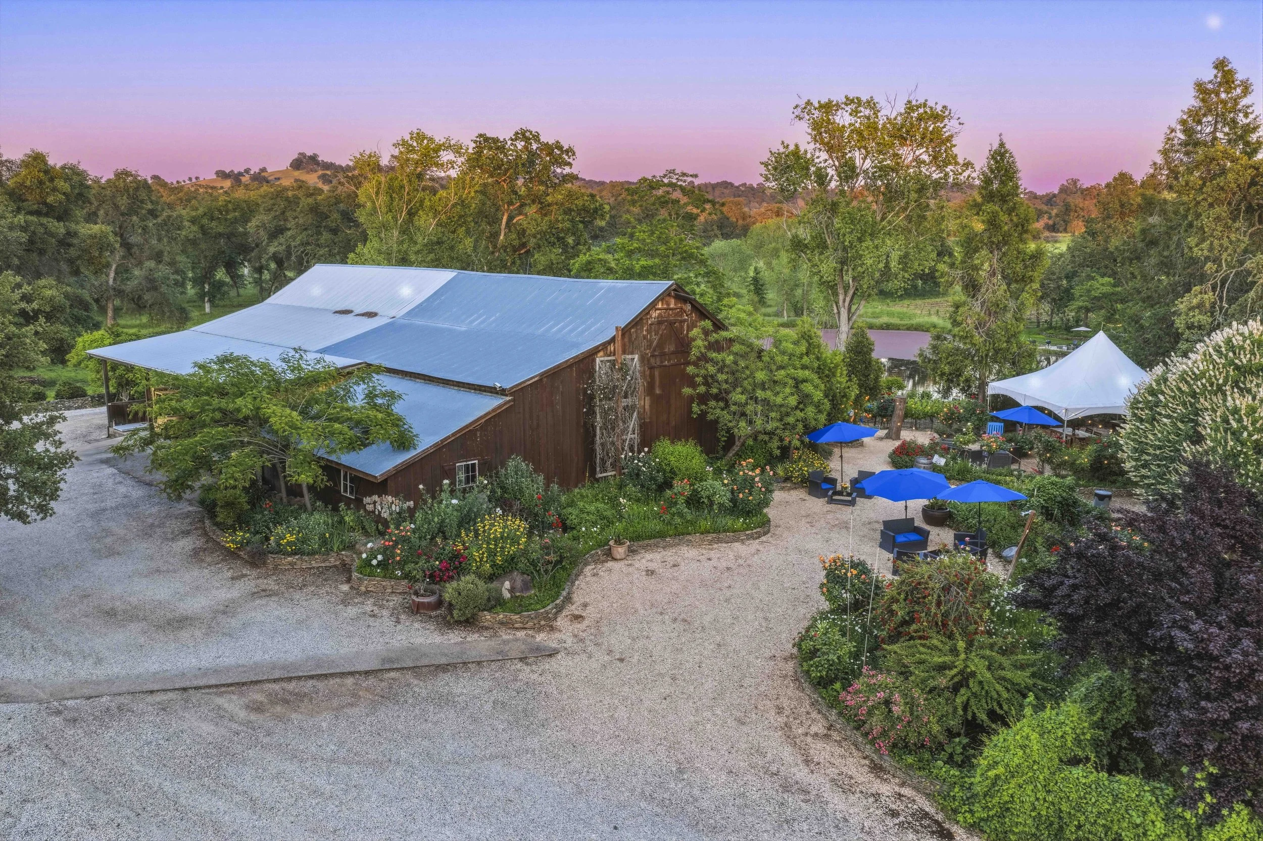 Young's Vineyard Twilights - _18.jpg
