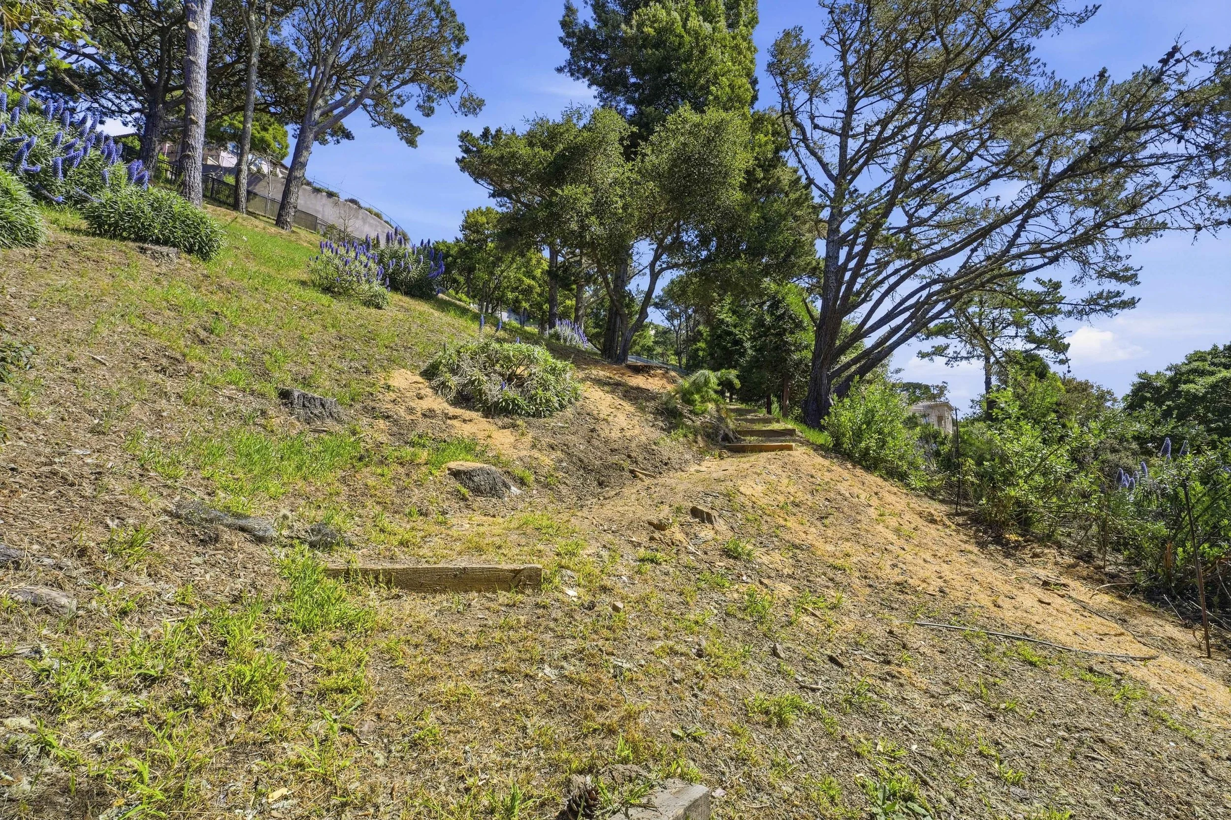 107 Mount Tiburon 24.jpg