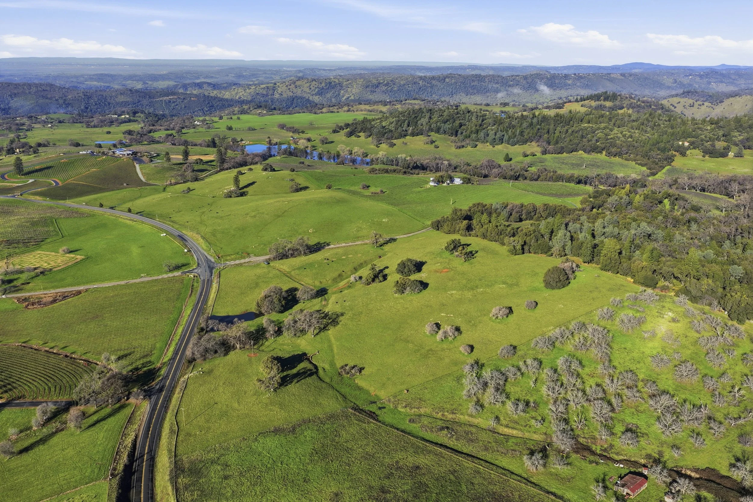 11777 Shenandoah Rd 10.jpg