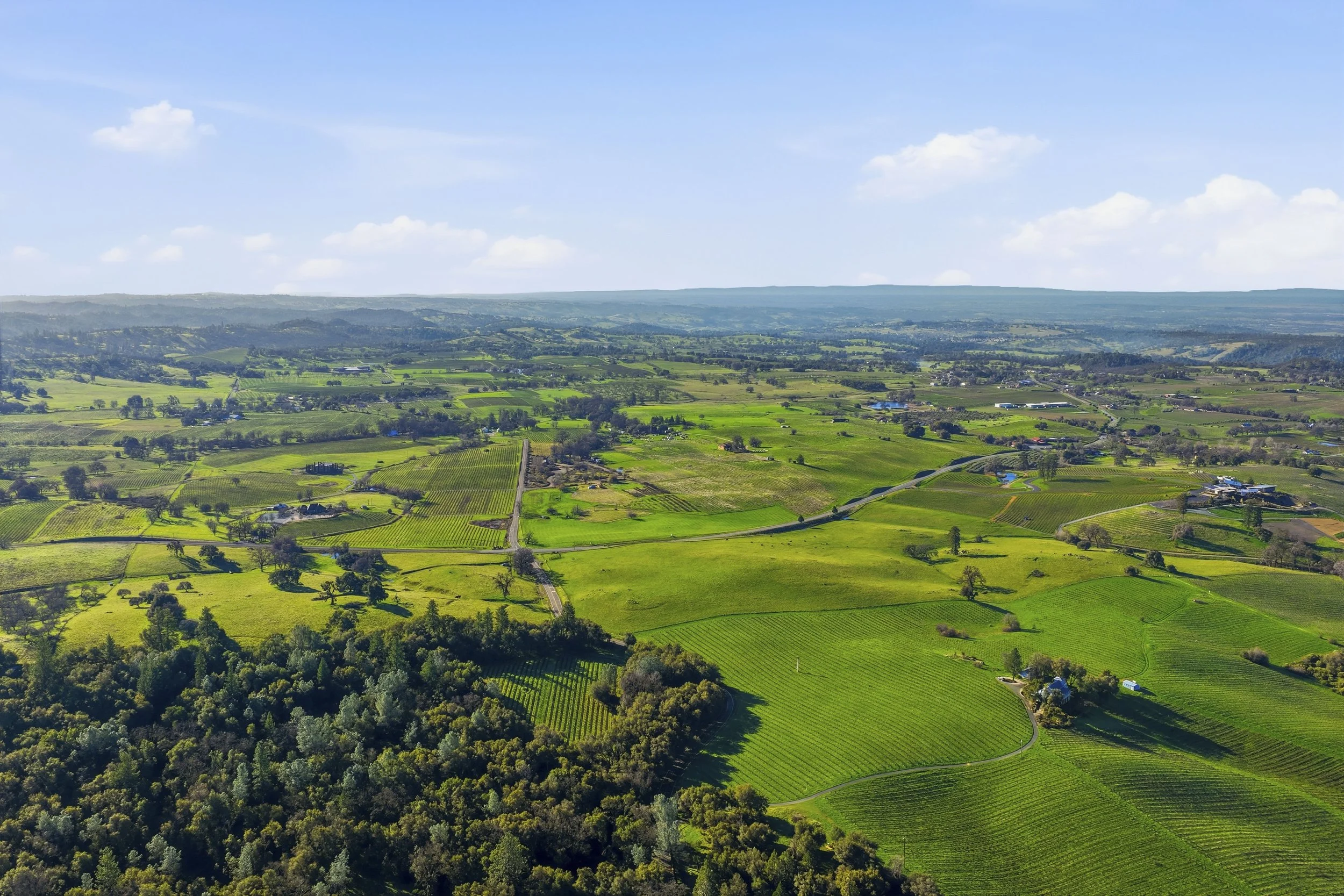 11777 Shenandoah Rd 14.jpg