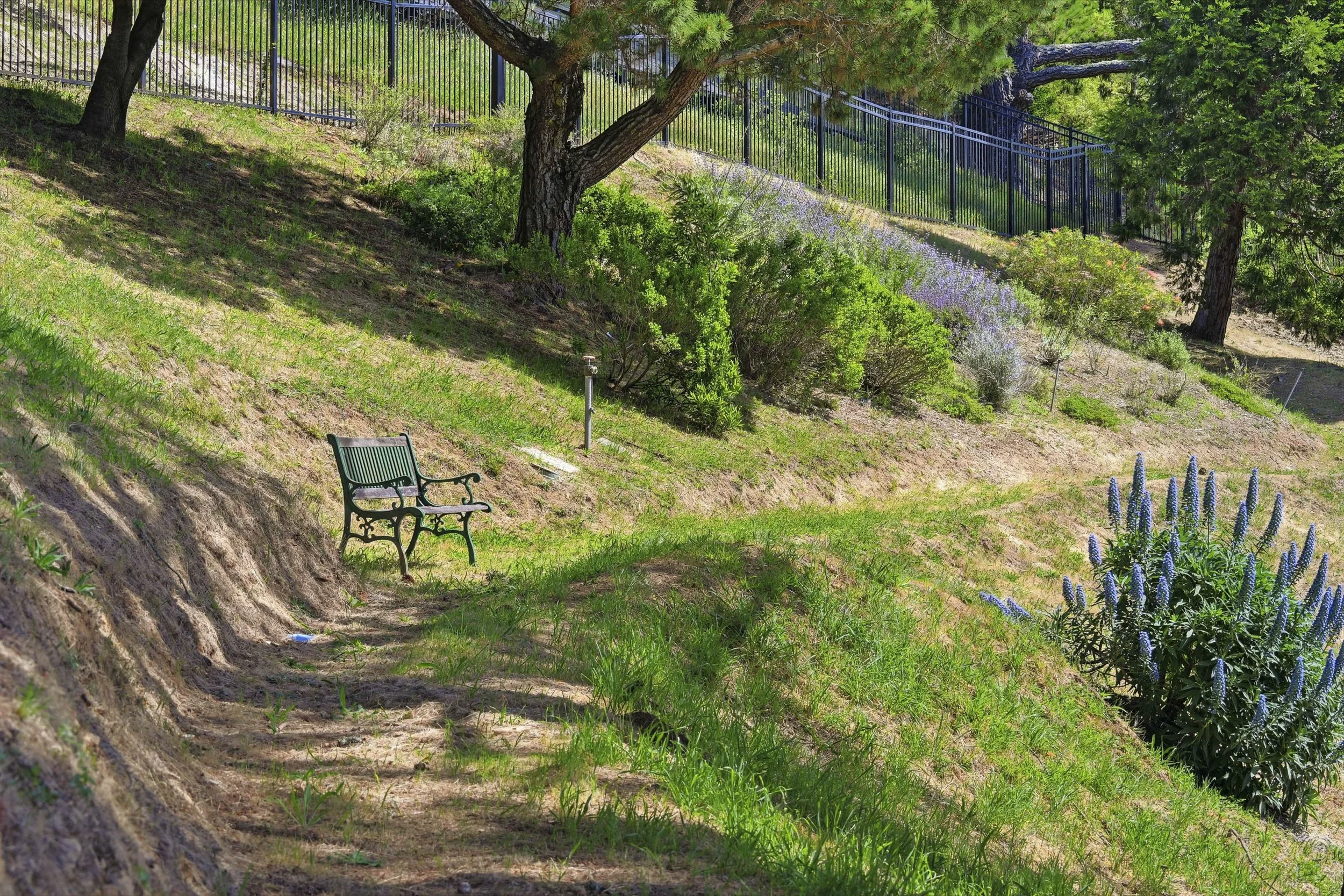 107 Mount Tiburon 38.jpg